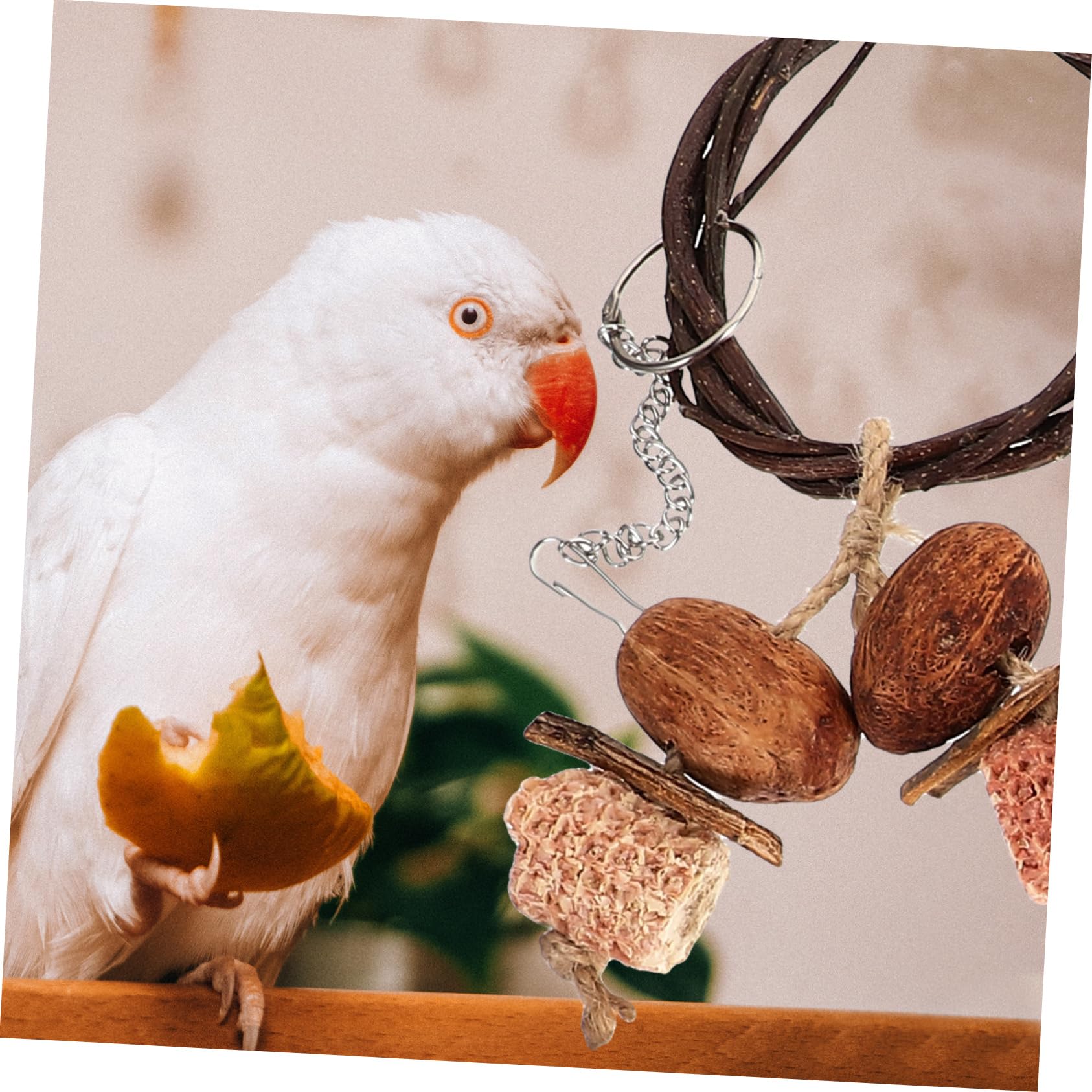 Giochi per Pappagalli da Appendere Resistente per Pappagalli e Calopsitte Giocattoli da Masticare e Altalena per Uccelli Adatto Tutte Specie Facile da Installare