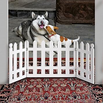 white picket dog fence