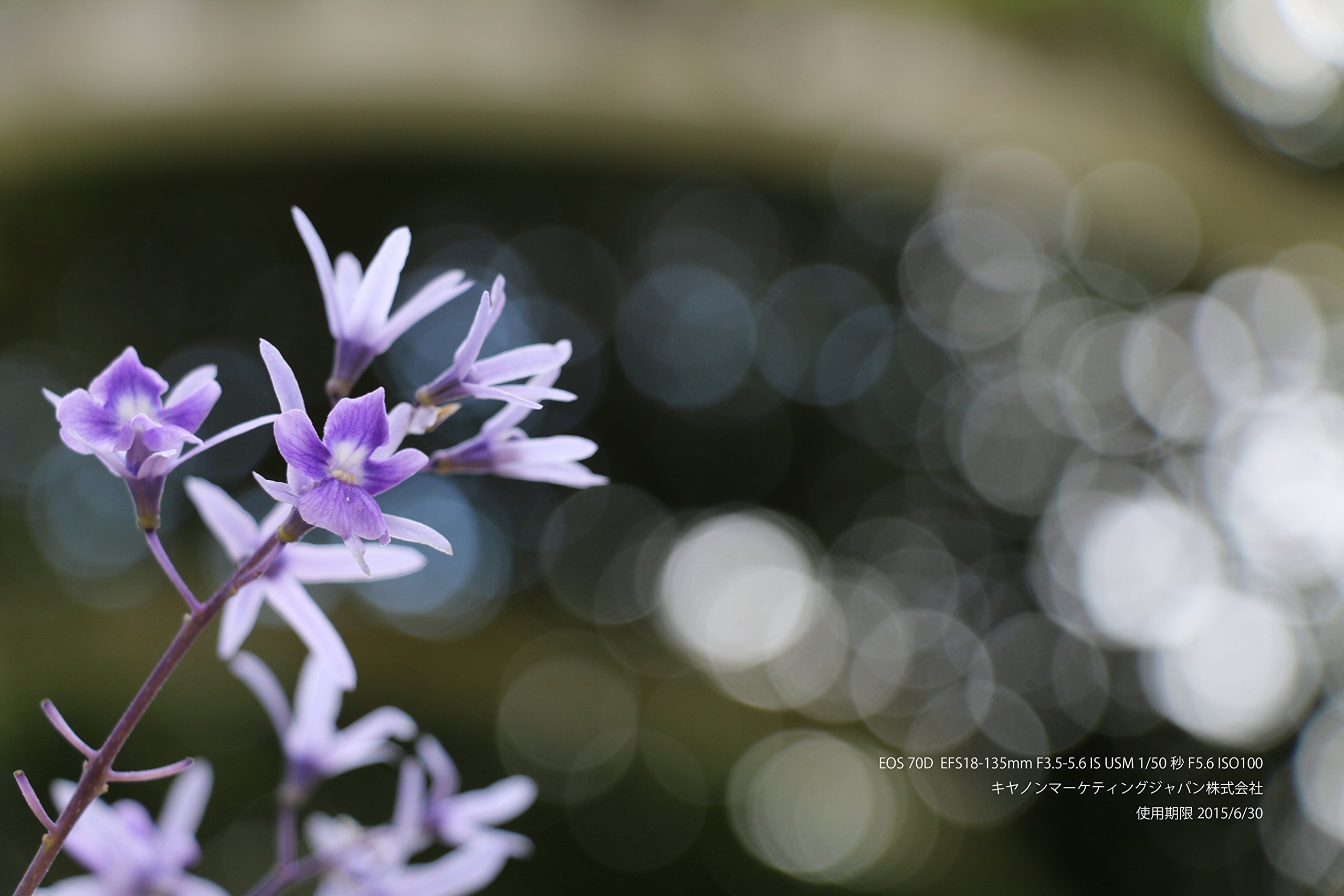 Amazon.co.jp: Canon デジタル一眼レフカメラ EOS70D レンズキット EF 