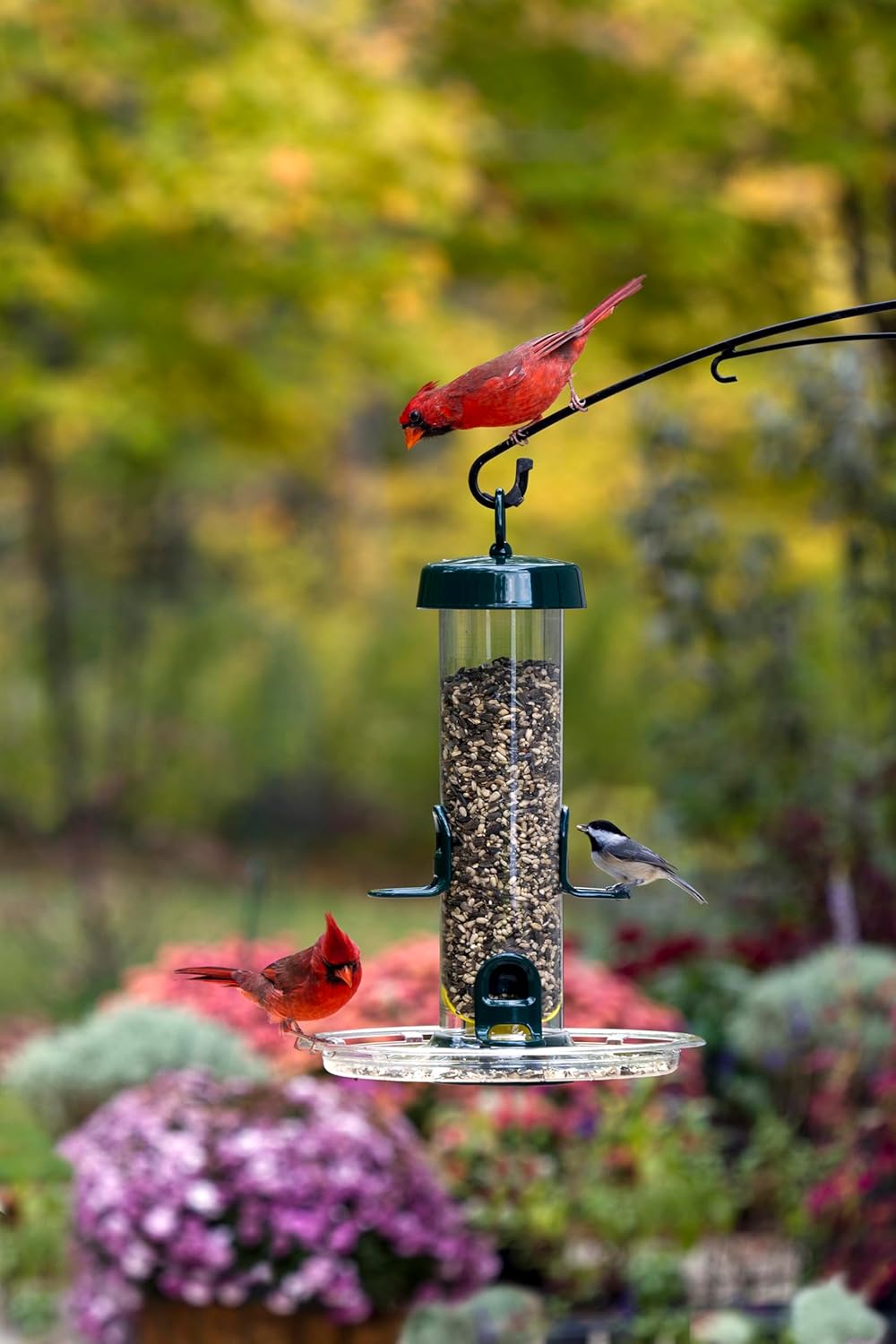 Brome Tube 150 Wild Bird Feeder, Metal, 4 Seed Ports, 2.6 lb Capacity, Extra-Wide Perches, Easy to Fill & Clean, Pole-Mountable, Seed Tray Available