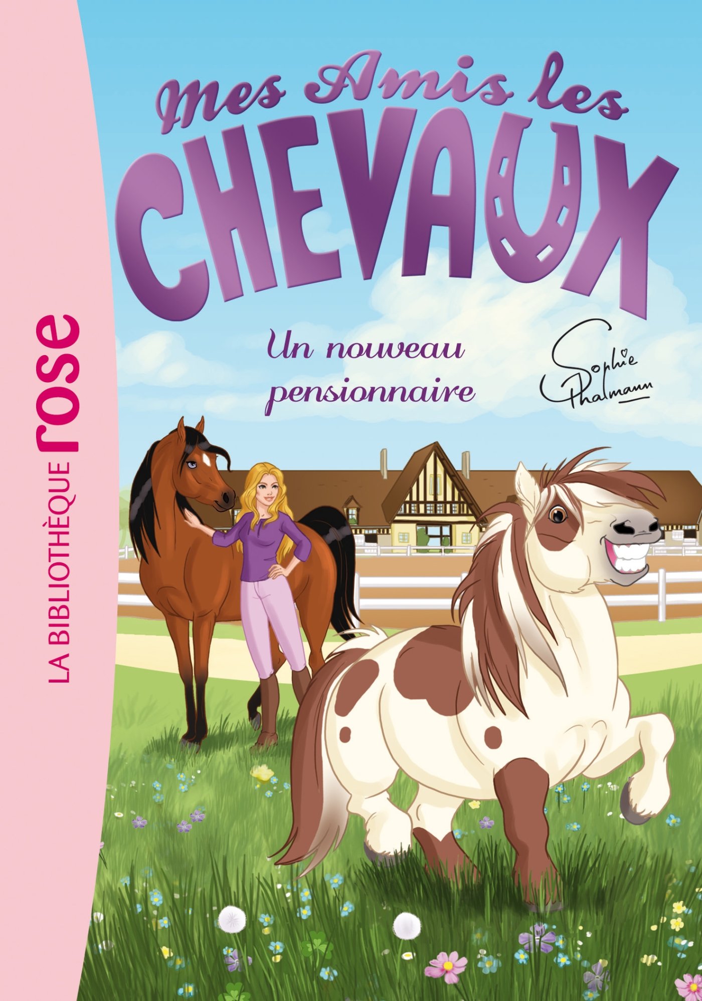 Hachette Mes amis les chevaux 01 - Un nouveau pensionnaire