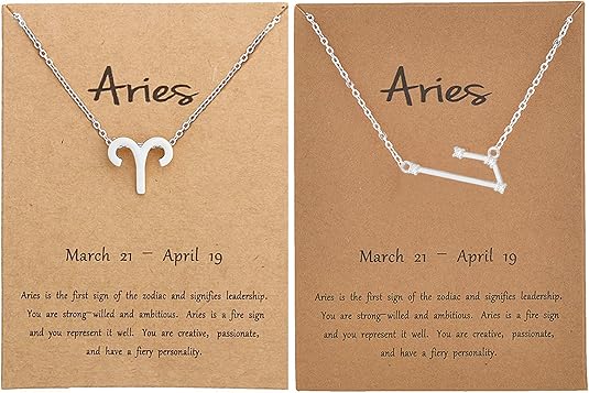 Zodiac Necklace for Women 12 Constellation Pendant Necklaces Silver Zodiac Sign Necklace for Men