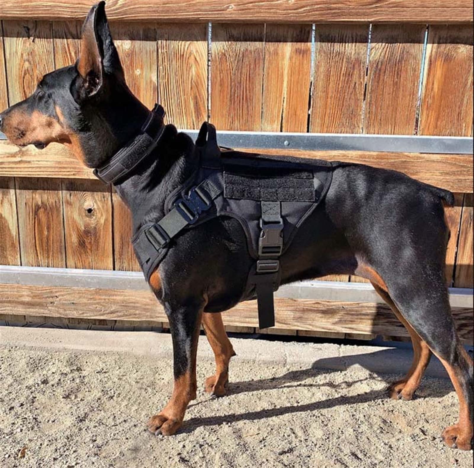 Arnés Militar Táctico para Perros y Collar para Perros Entrenamiento Arnés de Nylon para Perros con Anillo D y Hebilla para Perros Medianos y Grandes