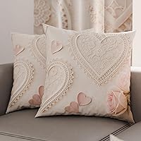 PETTI Artigiani Italiani - Coppia di Federe Cuscino 60x60 cm in Microfibra