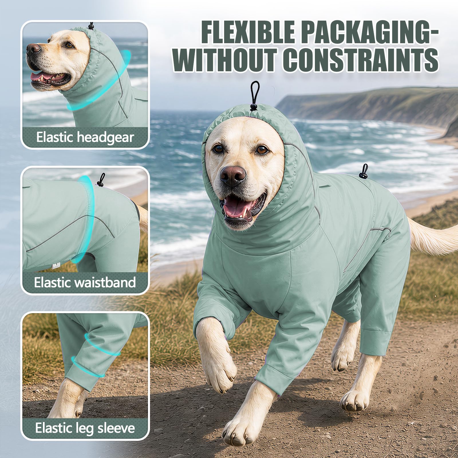 Hunde-Regenmantel mit 4 Beinen, wasserdicht, winddicht, Kapuzenjacke mit reflektierenden Streifen und Loch für die Leine, für kleine, mittelgroße und große Hunde bis zu 40 kg, Grün, Größe S