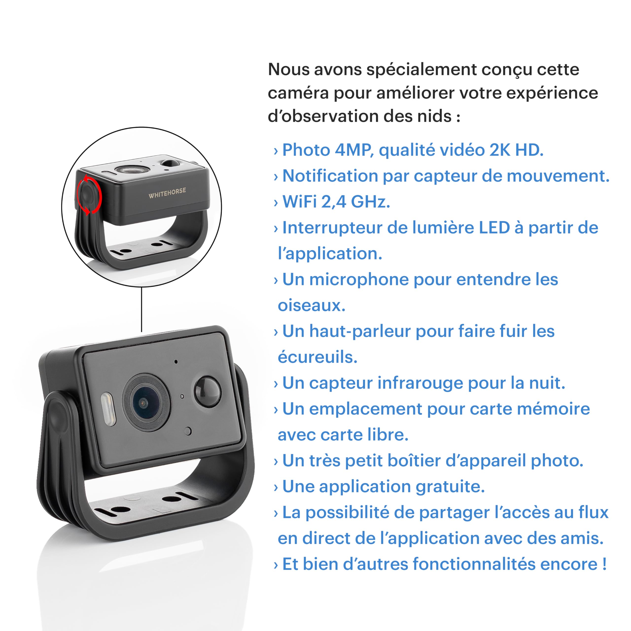 WHITEHORSE Caméra pour nichoirs à oiseaux - Sans fil et alimentée par énergie solaire -Regardez et enregistrez depuis votre téléphone (application gratuite) - Soyez averti lorsqu'un oiseau est détecté