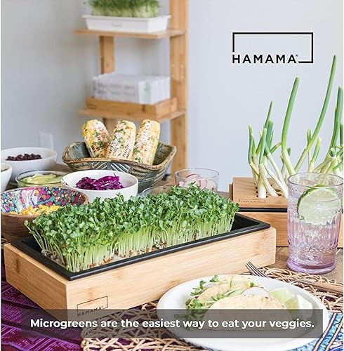 Miniatura 4 de Recambio de verduras Powerhouse orgánicas y sin OMG para Hamama Home Microgreens Kit de cultivo  Cultiva microverduras frescas en interiores cada