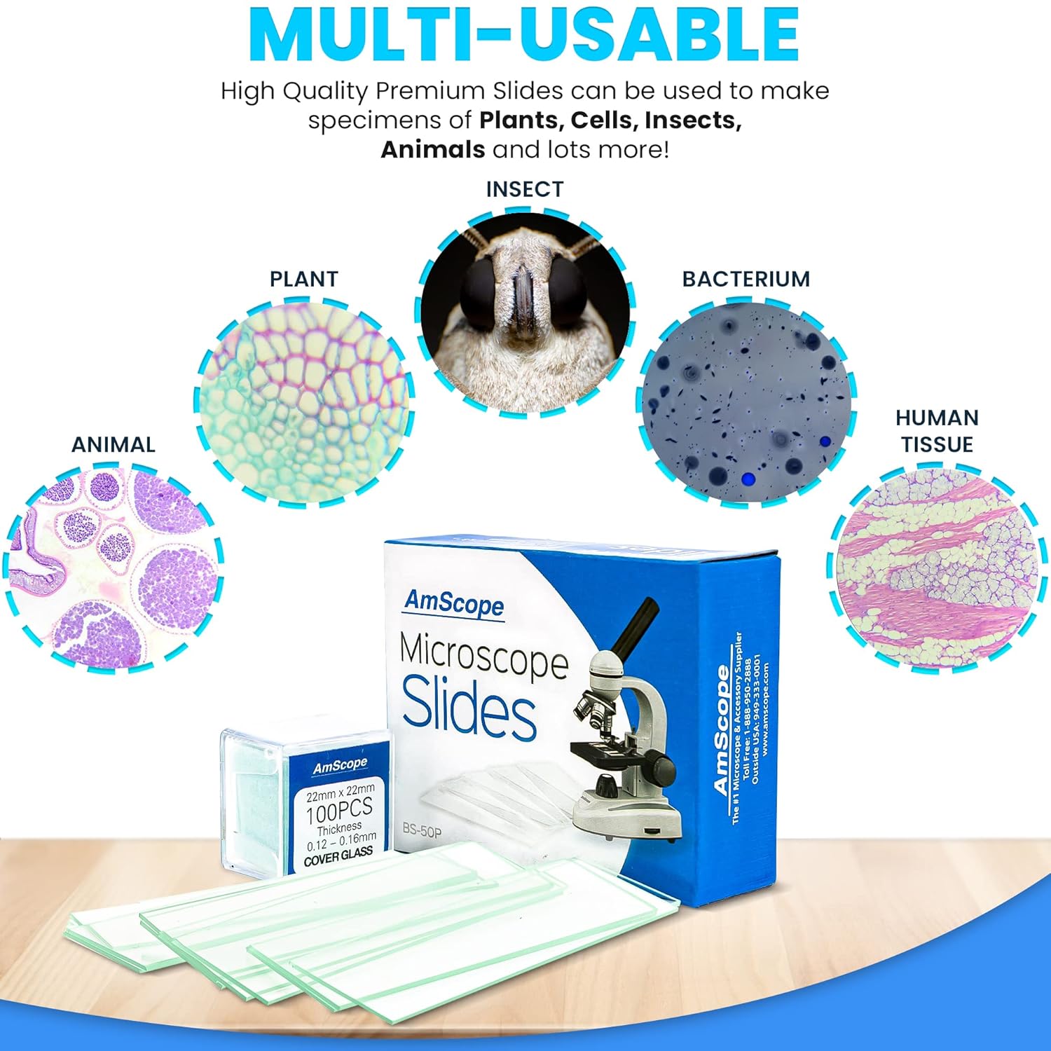 Buy Microscope Slides, 100 Blank Slides with 100 Cover Glass Online at