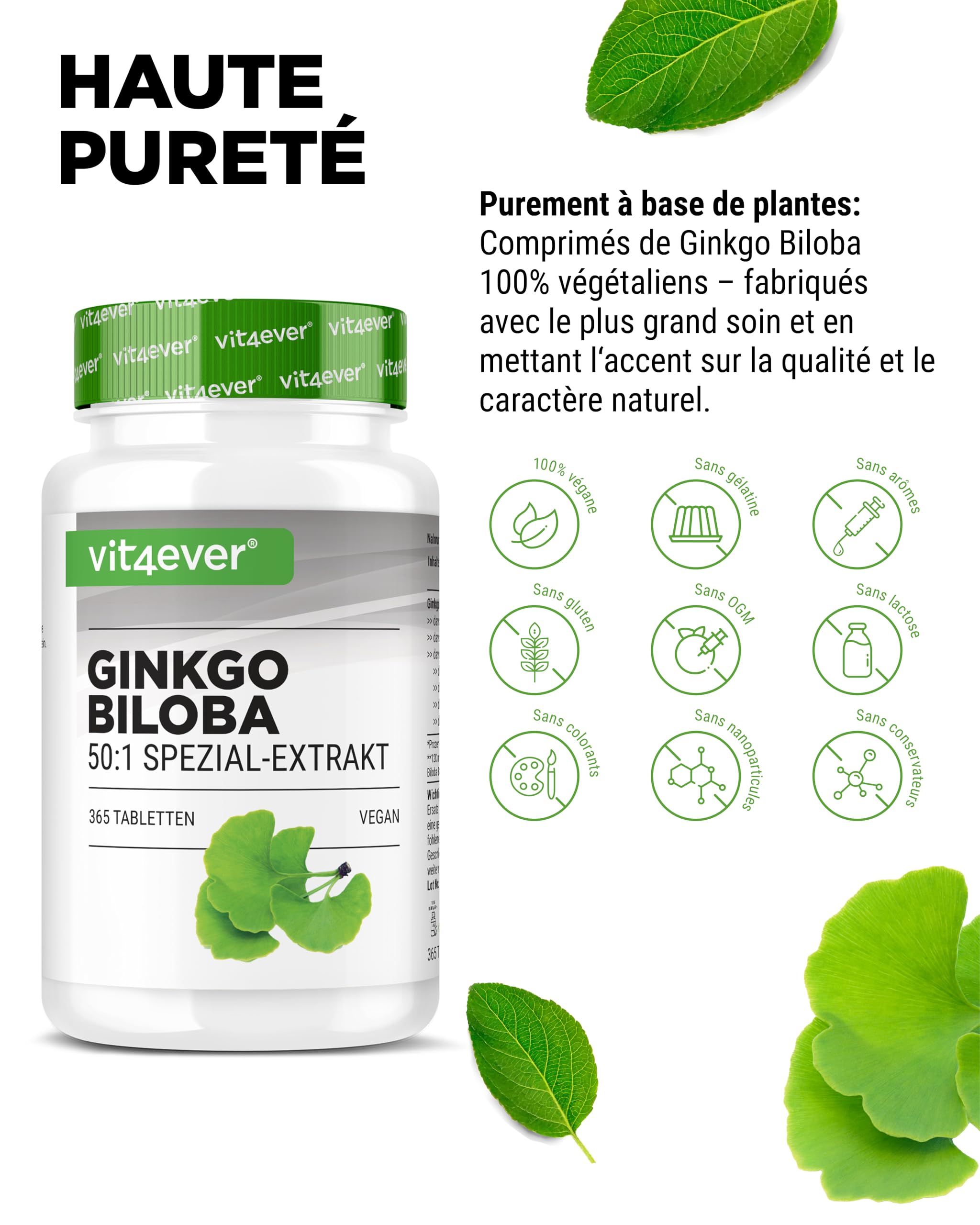 vit4ever Ginkgo Biloba 6000 mg - 365 Comprimés – Extrait Premium : avec Flavonoglycosides + Ginkgolides-Lactones Terpéniques & sans Acide Ginkgolique - Hautement Dosé – Vegan