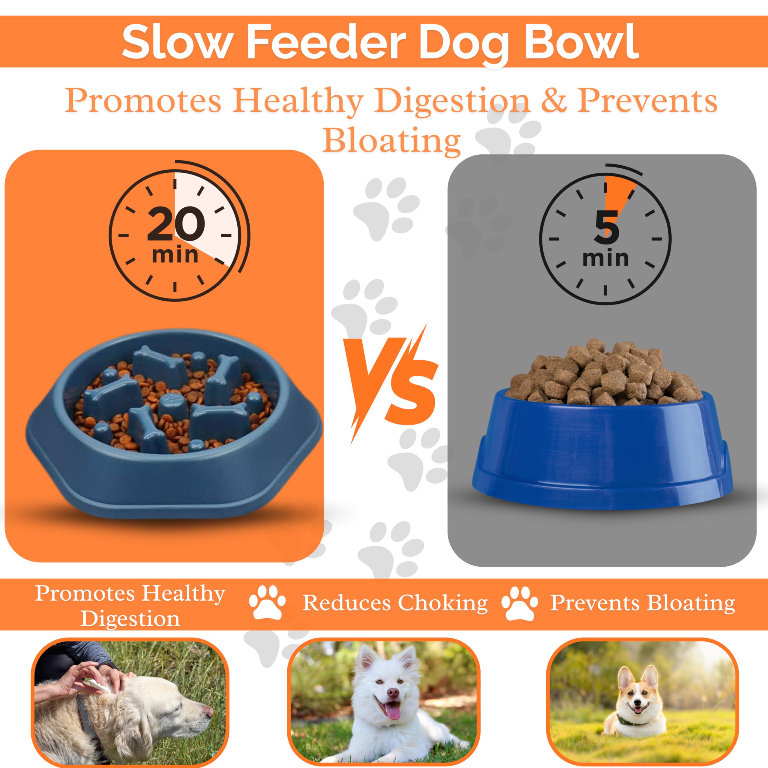 2 ciotole per cibo per cani con alimentazione lenta, progettate per mangiare lentamente, promuovono una digestione sana e impediscono il gonfiore, ideale per cani e gatti (rosa-rosa)