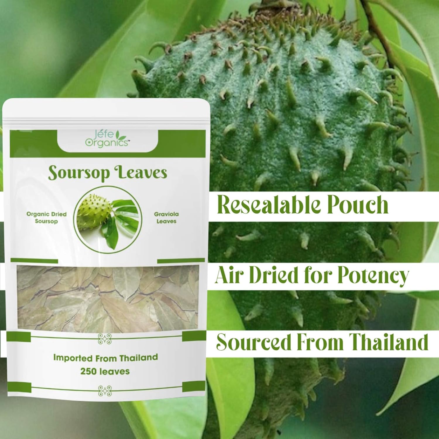 Buy Soursop Leaves Online In Belarus B08sqgjvq2