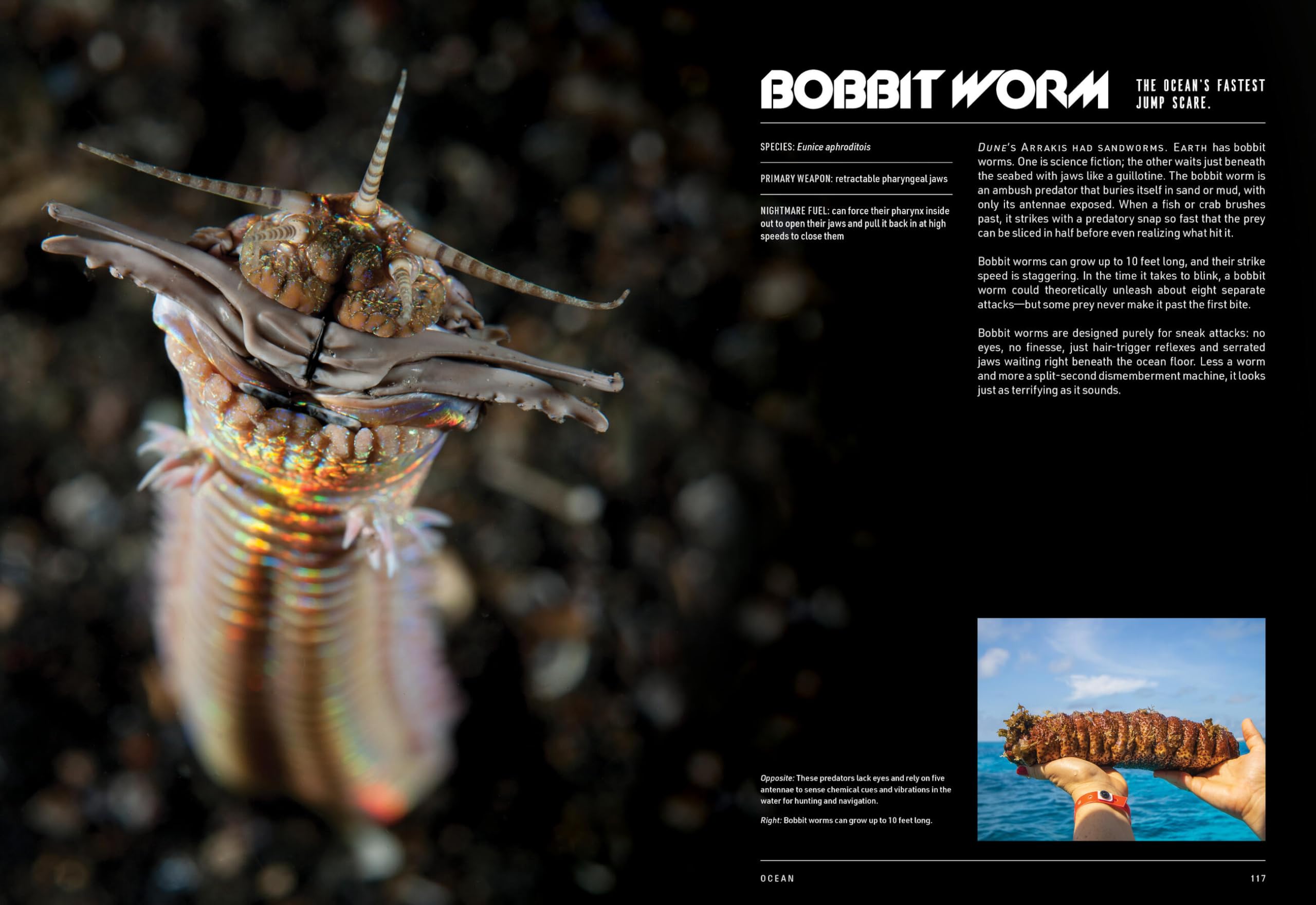 Nature Is Metal: It's a Life-Eats-Life World