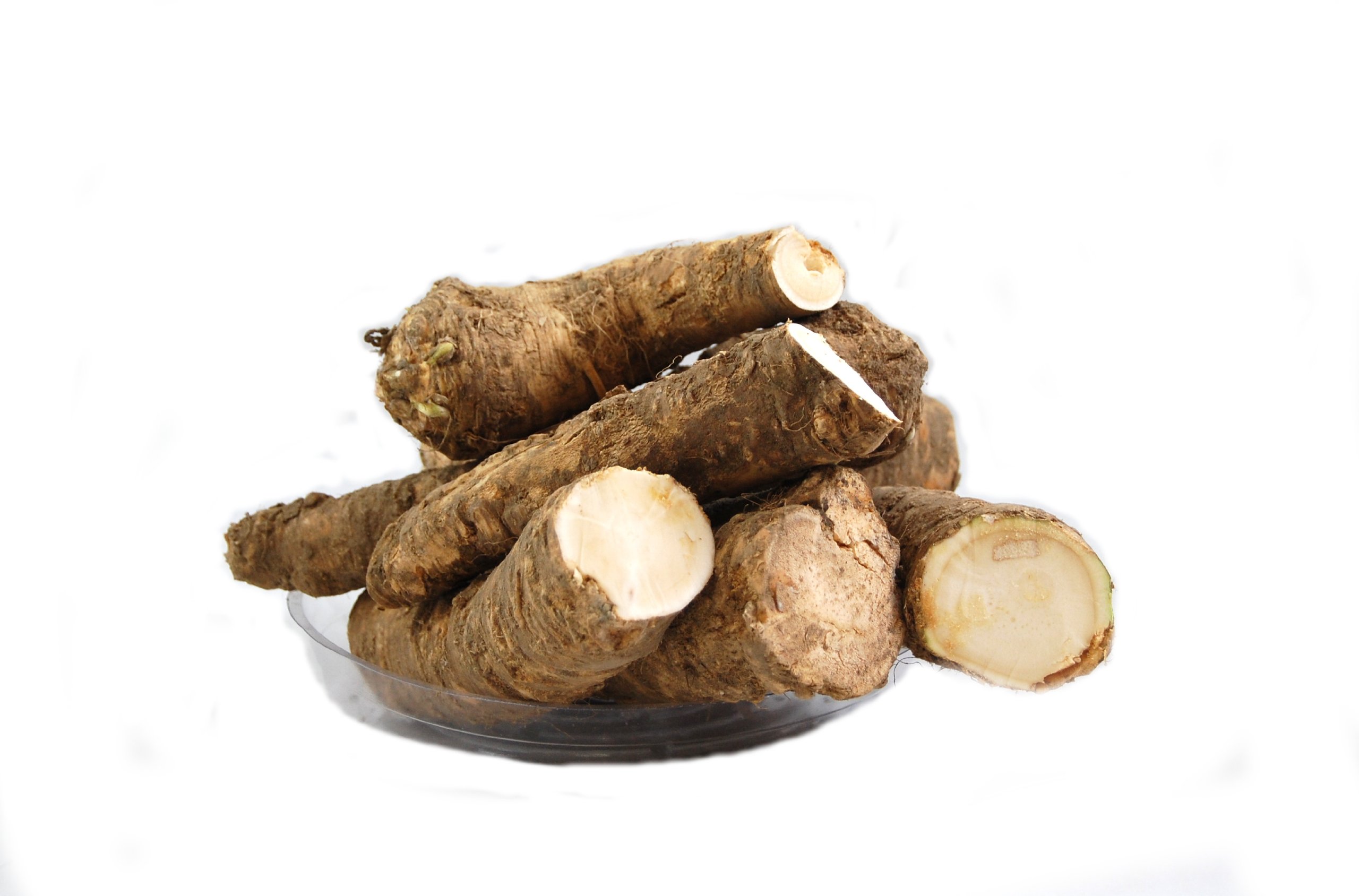 Horseradish Roots Natural Organic Ready to Plant 1 Pound by