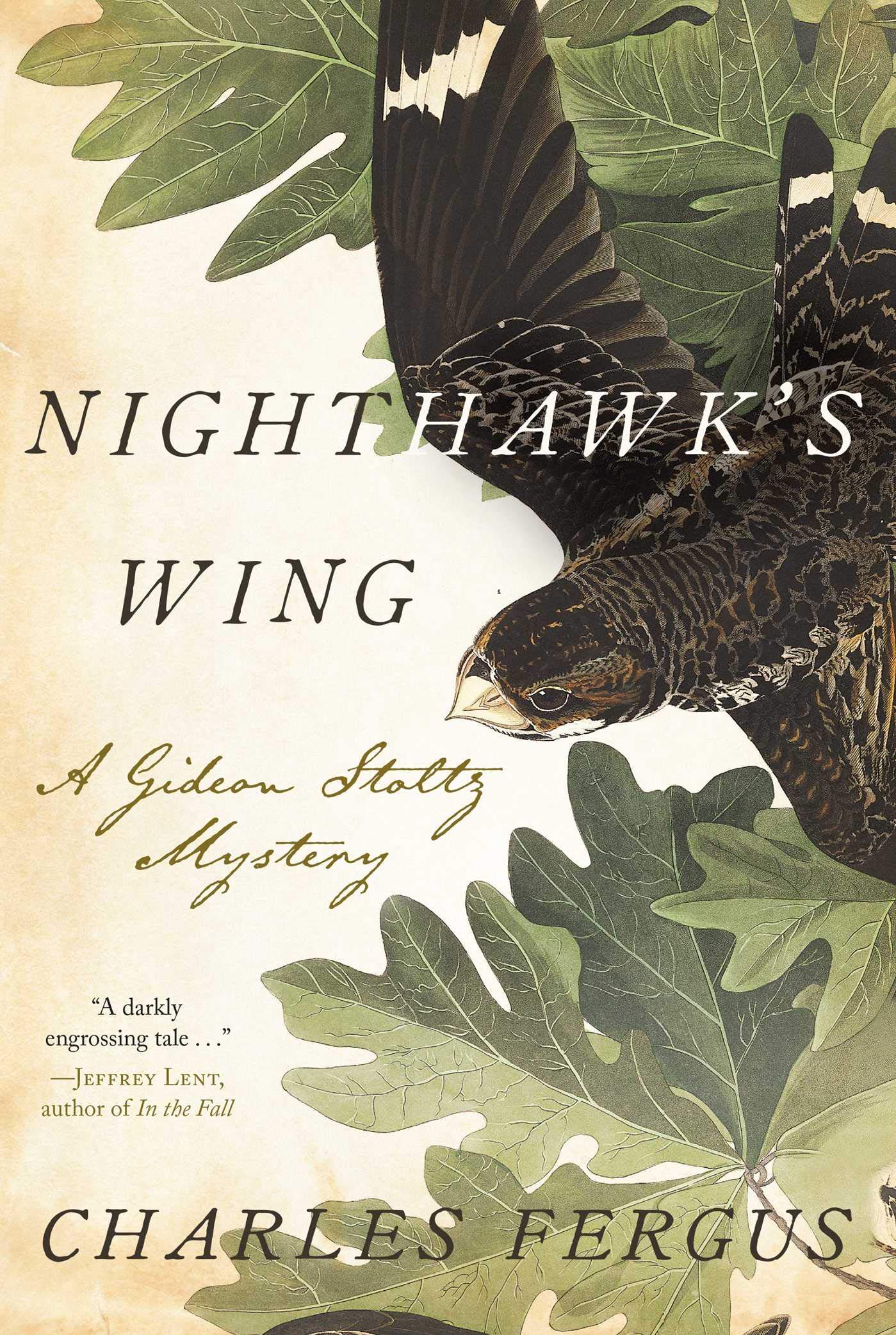 Buy Nighthawk's Wing: A Gideon Stoltz Mystery (Gideon Stoltz Mysteries, 2) — BookShops.in