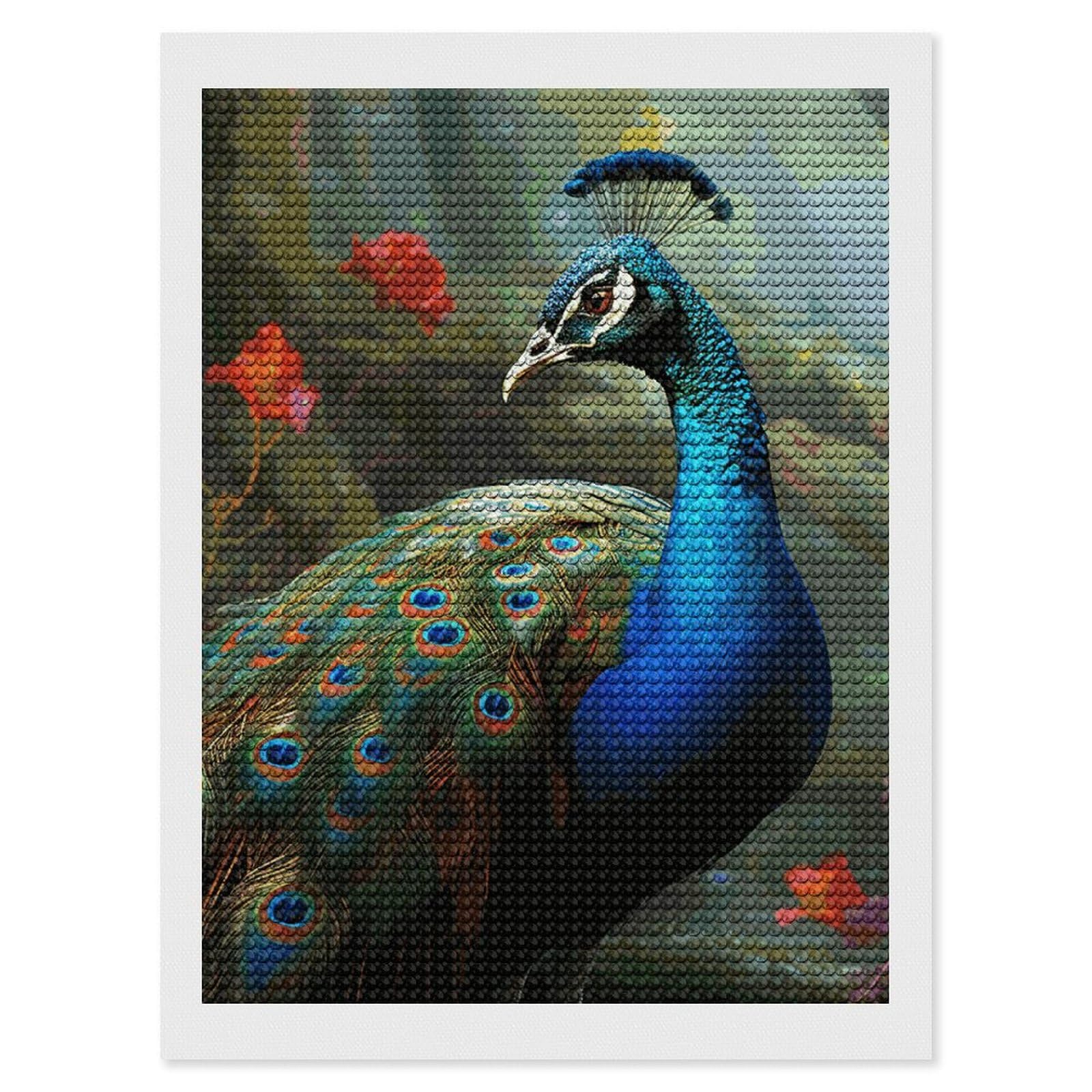 NONHAI Diamond Painting Kits for Adults - DIY Diamond Art Kits for Beginners - Full 5D Paint Drill Diamond Dots Paintings- Colorful Peacock Diamonds Pictures Gem Art and Craft Wall Decor 12"x16"