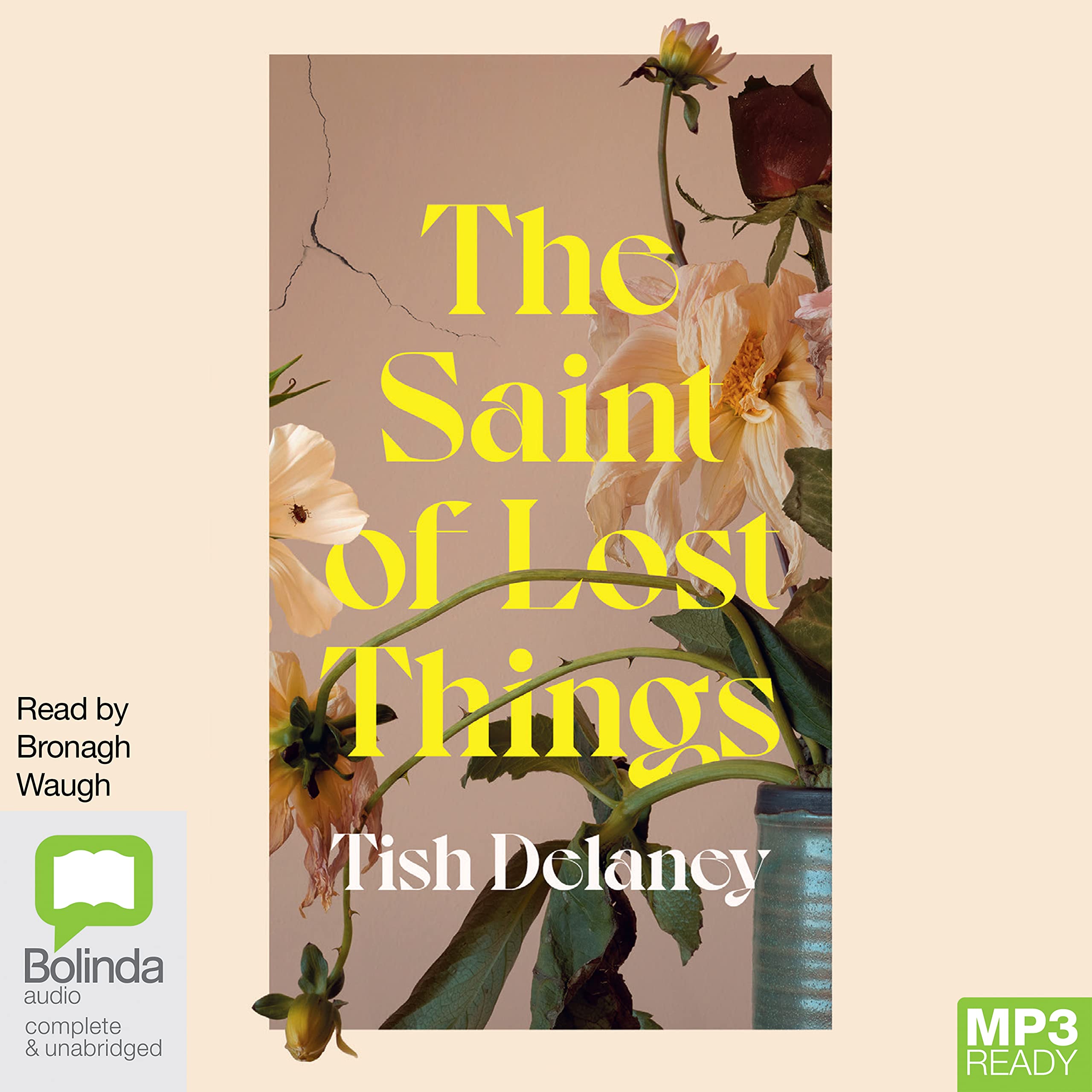 The Saint of Lost Things