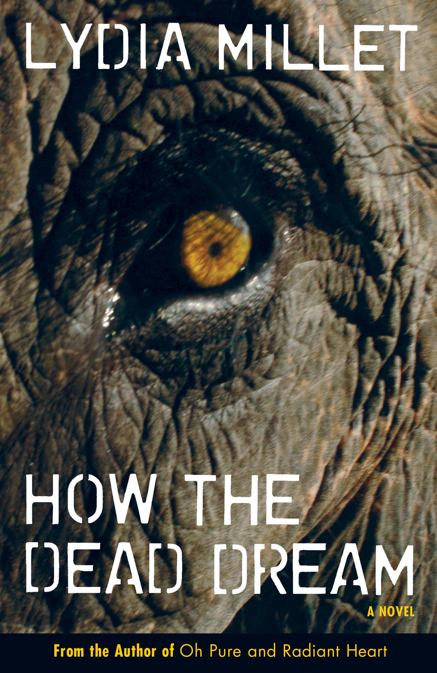 Buy How the Dead Dream: A Novel — BookShops.in
