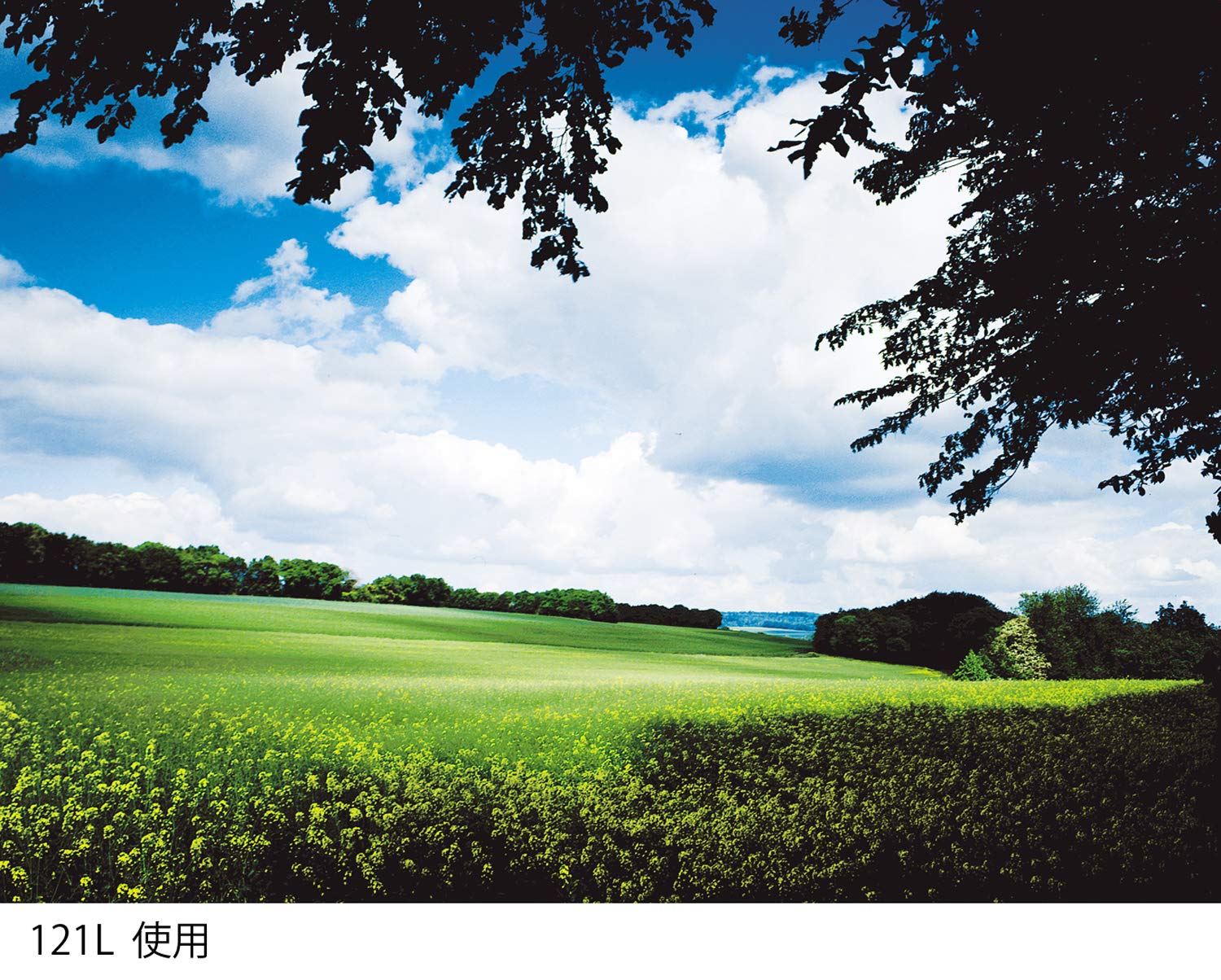 Cokin X121L Grad Grey G2 LT (ND2) Square Filter - Image 4