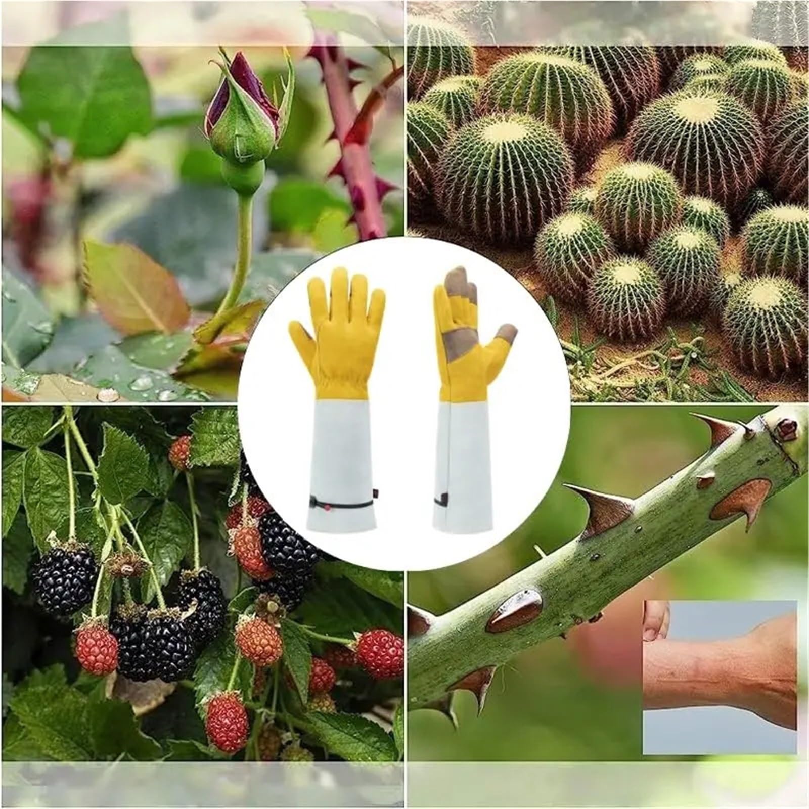 1 paire de gants jardinage longs pour Homme et Femme