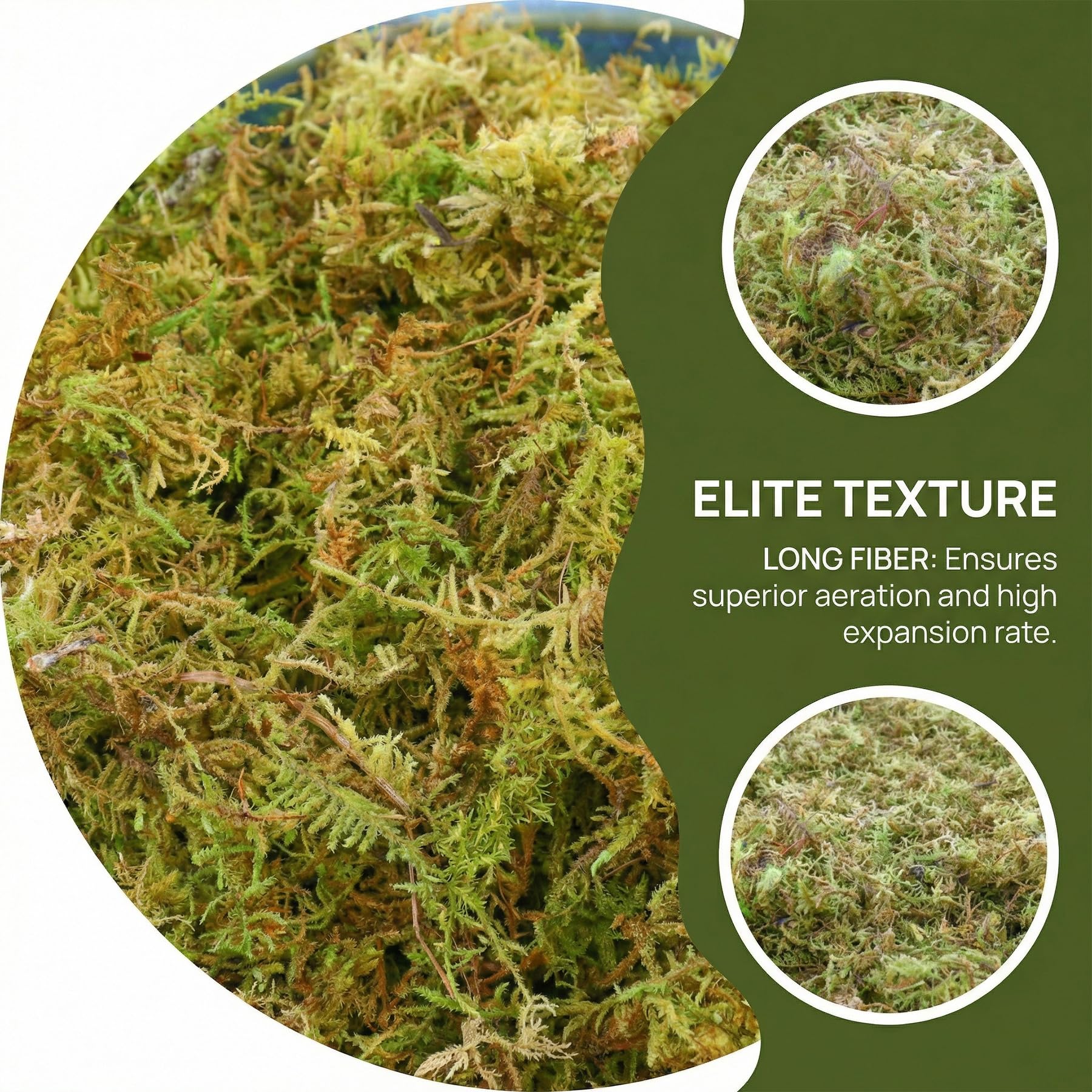 1,1 kg de mousse de sphaigne pour plantes, mousse d'orchidée à longues fibres pour plantes carnivores, terrariums et rempotage d'intérieur, briques de sphaigne compressées.