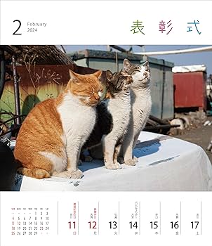 Amazon.co.jp: 2024 猫カレンダー 毎週にゃっ! : 藤範智誠