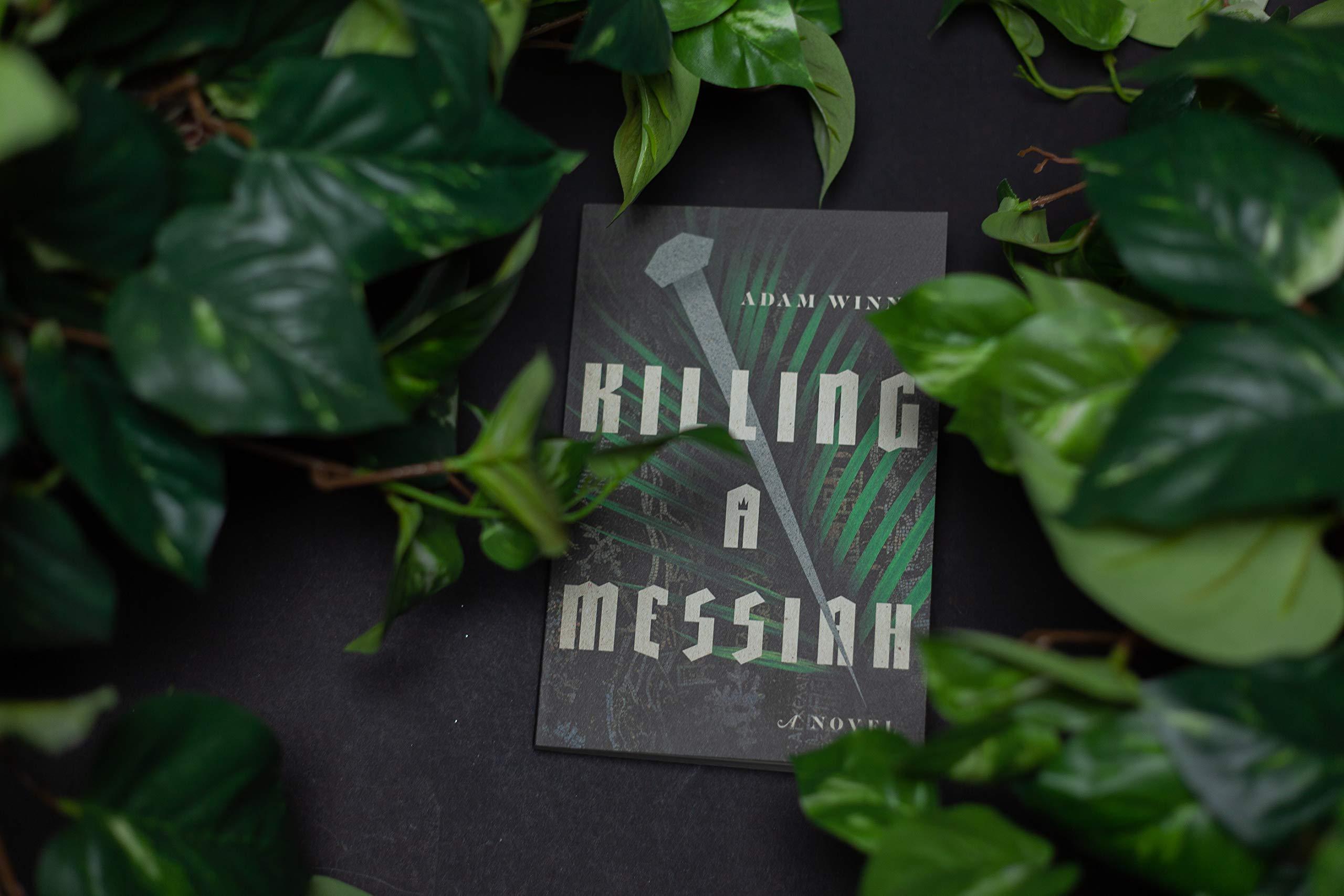 Killing a Messiah: A Novel - Image 3