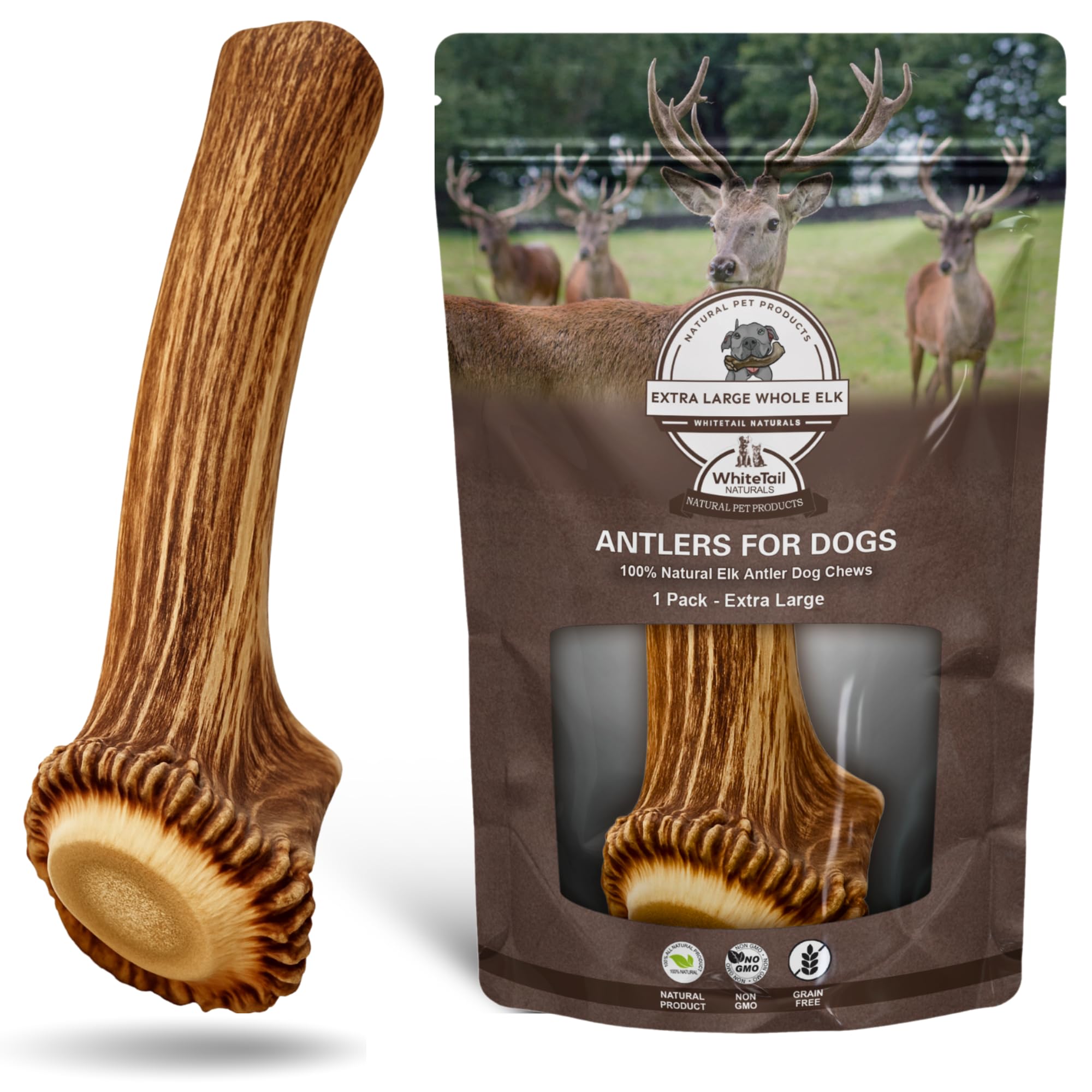 Pet Supplies : WhiteTail Naturals - Premium XL Elk Antler for