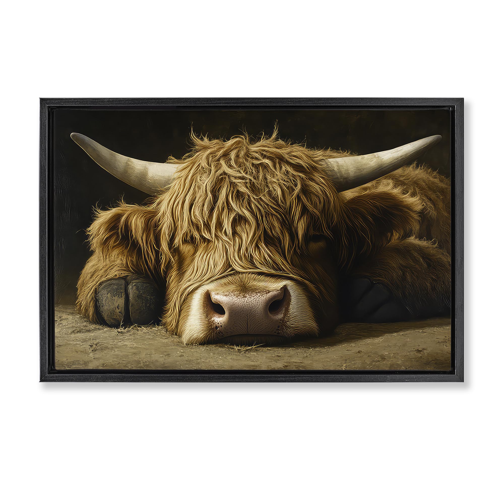 'Sleeping Highland Cow & Hoof'| Floating Frame Canvas Art