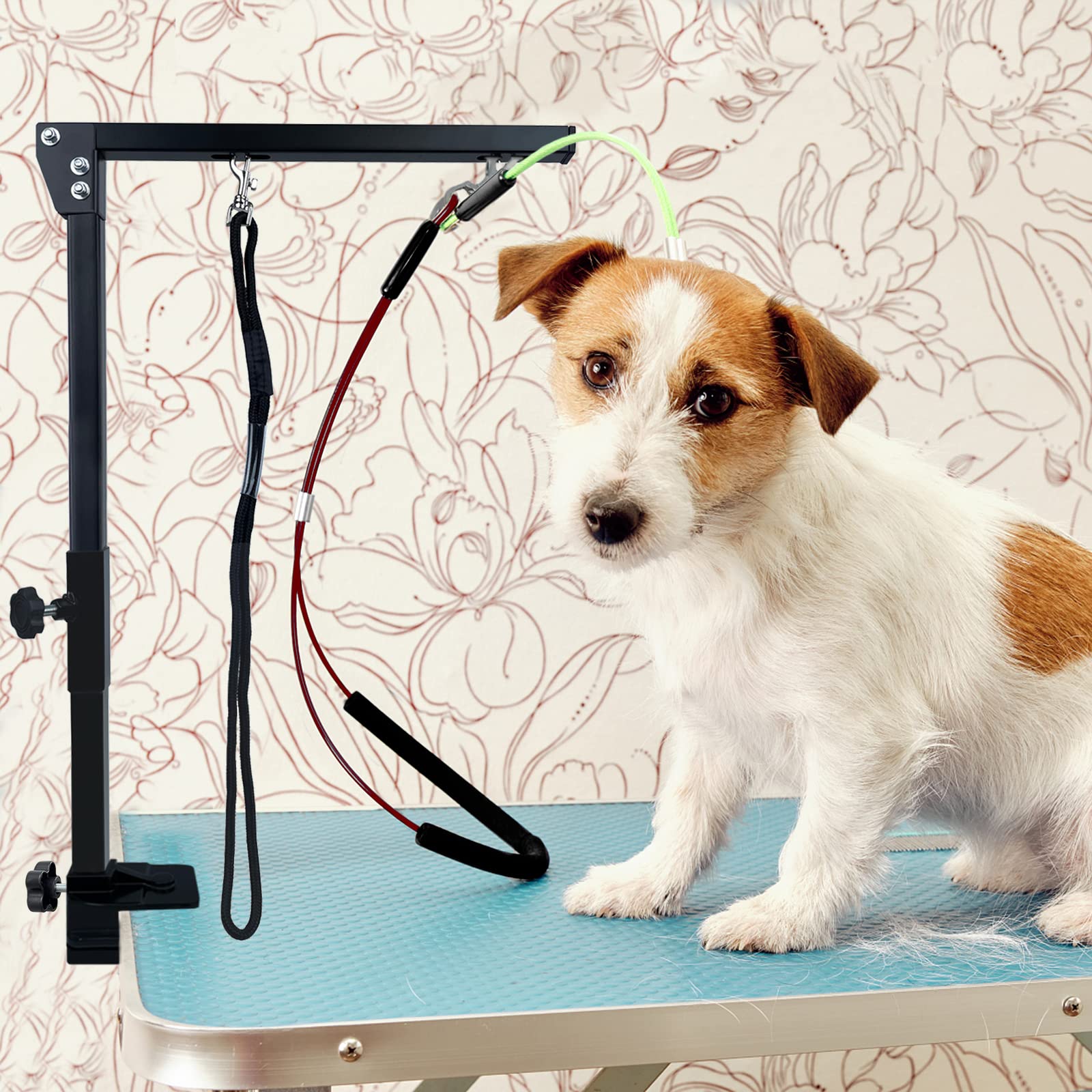 Aufun Haustier-Fellpflegearm mit Klemme, Verstellbar Hundepflege Bauchgurt, Faltbarer Tierpflegearm, höhenverstellbar für große und kleine Hunde, professionelle Tierpflege(2 Stück), Schwarz