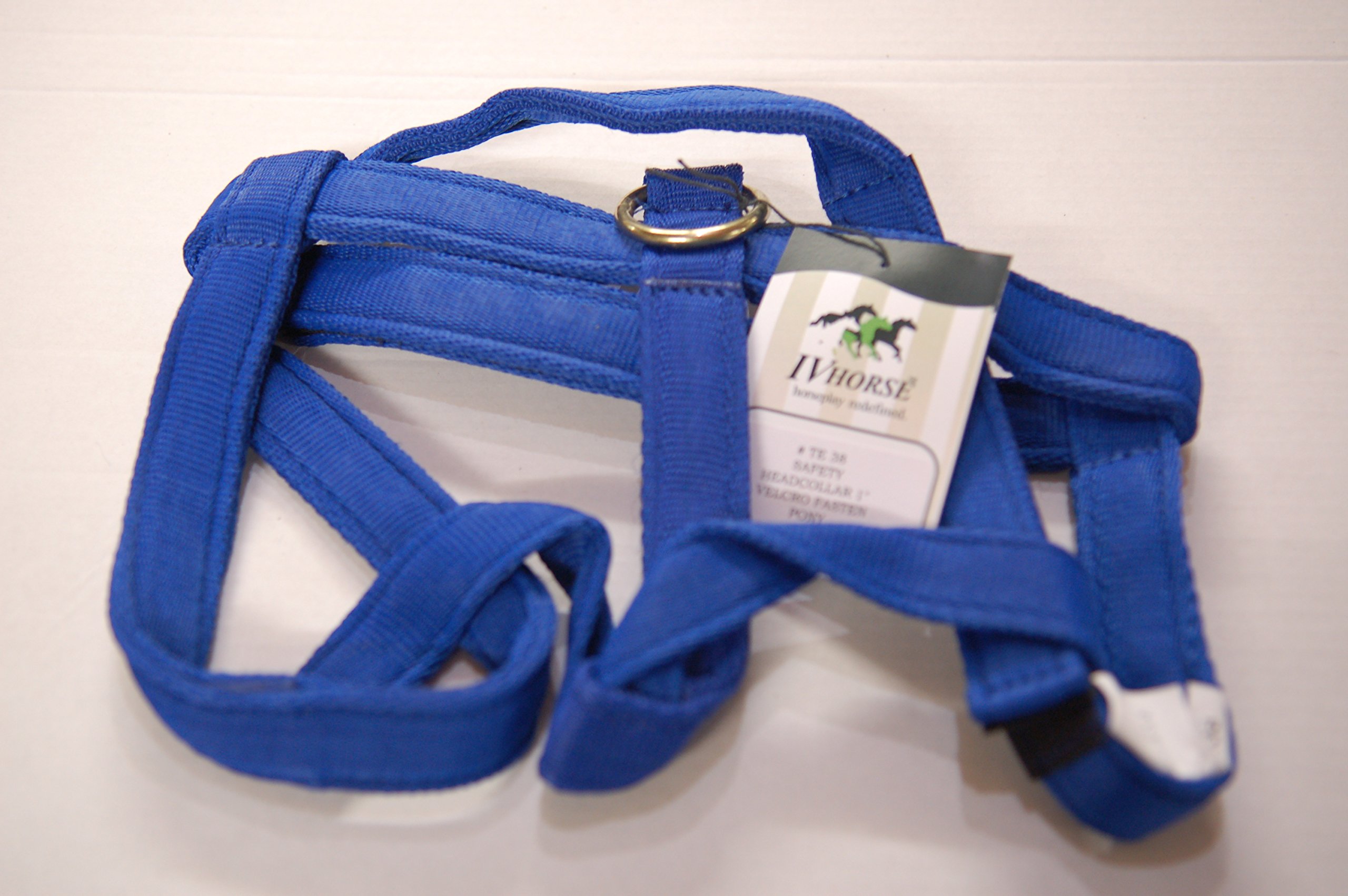 IV Horse Pony Safety Turnout Headcollar (Royal) โ image 1
