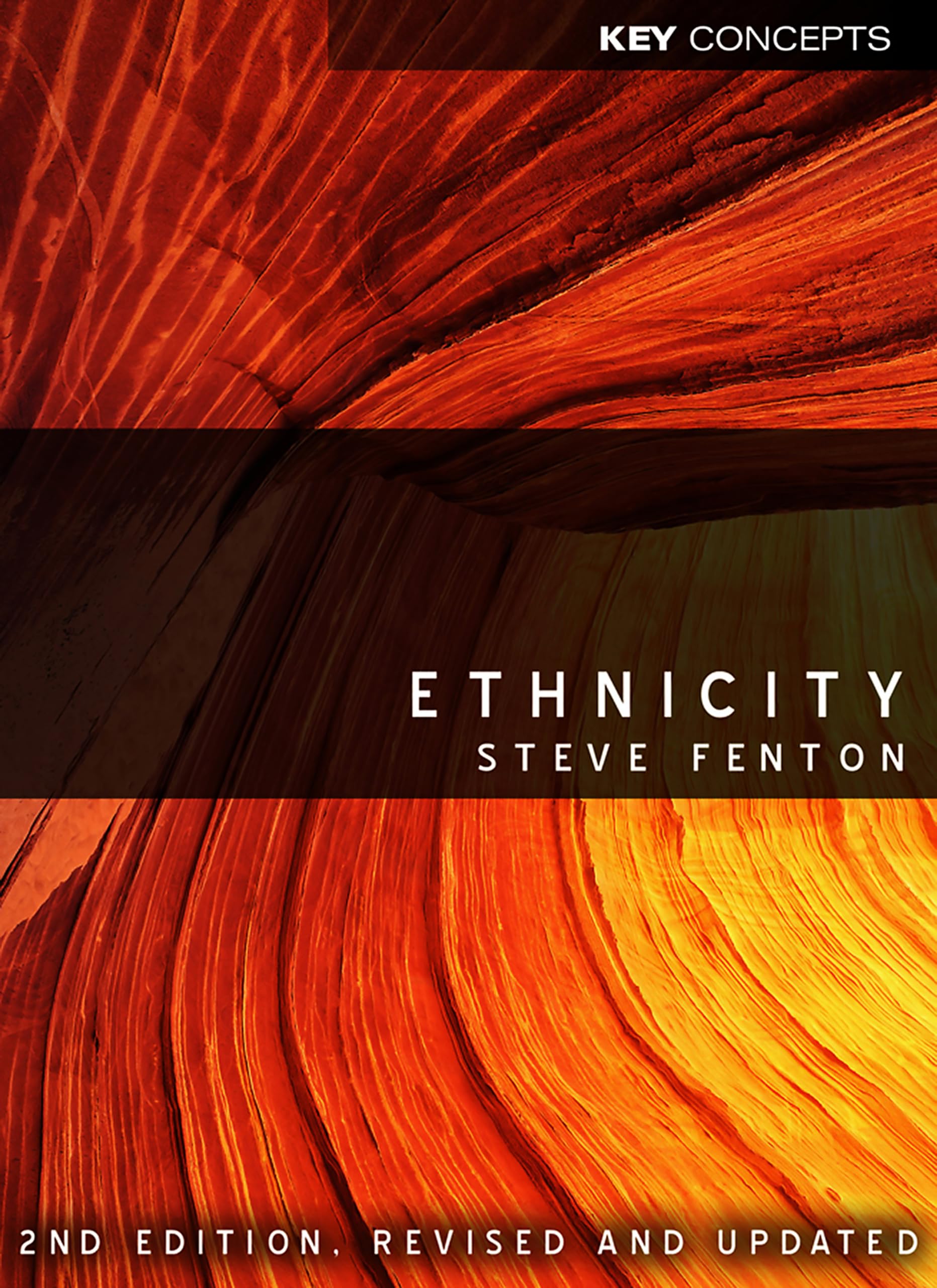 Ethnicity by Fenton, Steve, Dr  New 9780745642666 Fast Free Shipping<-