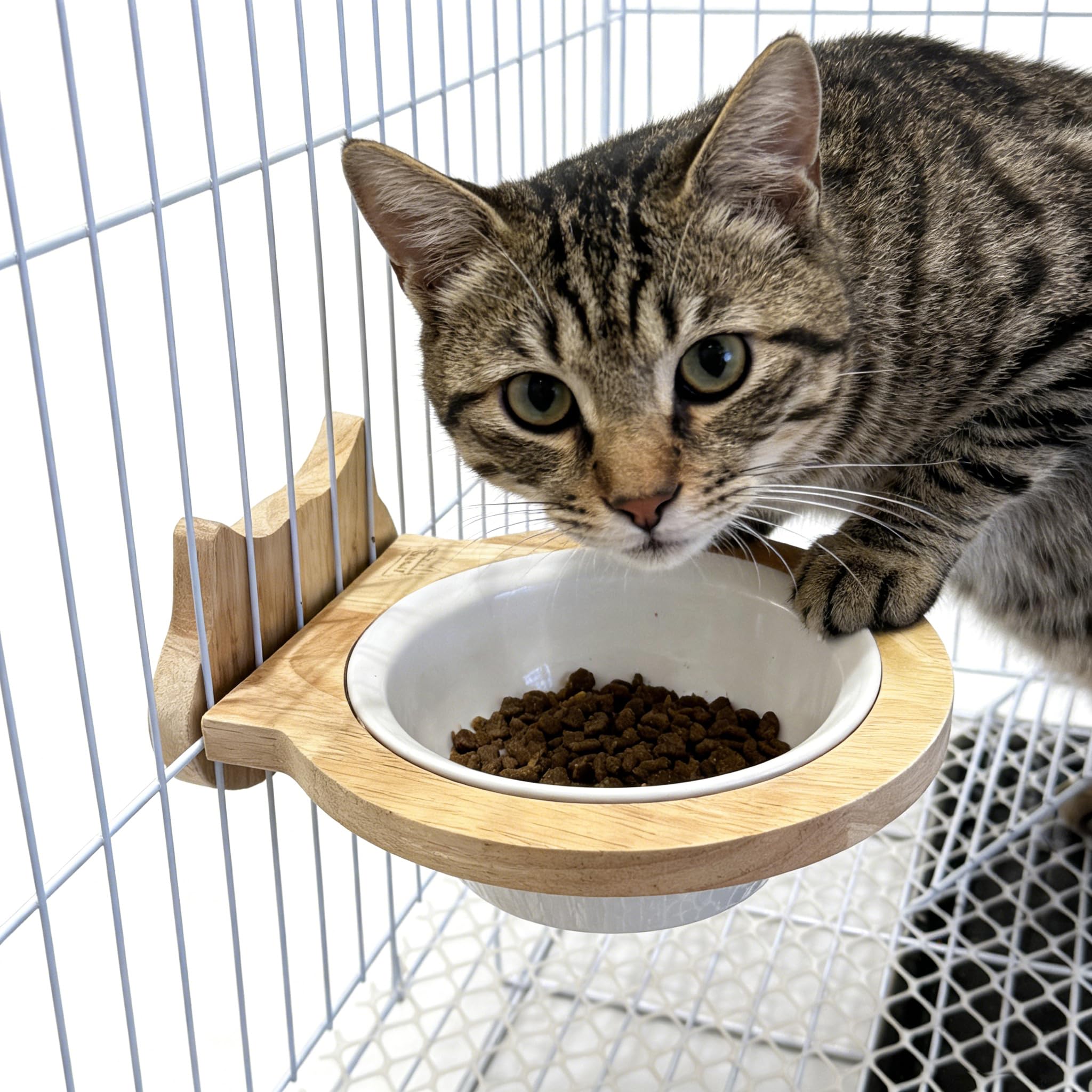 Amazon | 天然木製 陶器 猫型 フードボウル 餌皿 お皿 ケージ取り付け