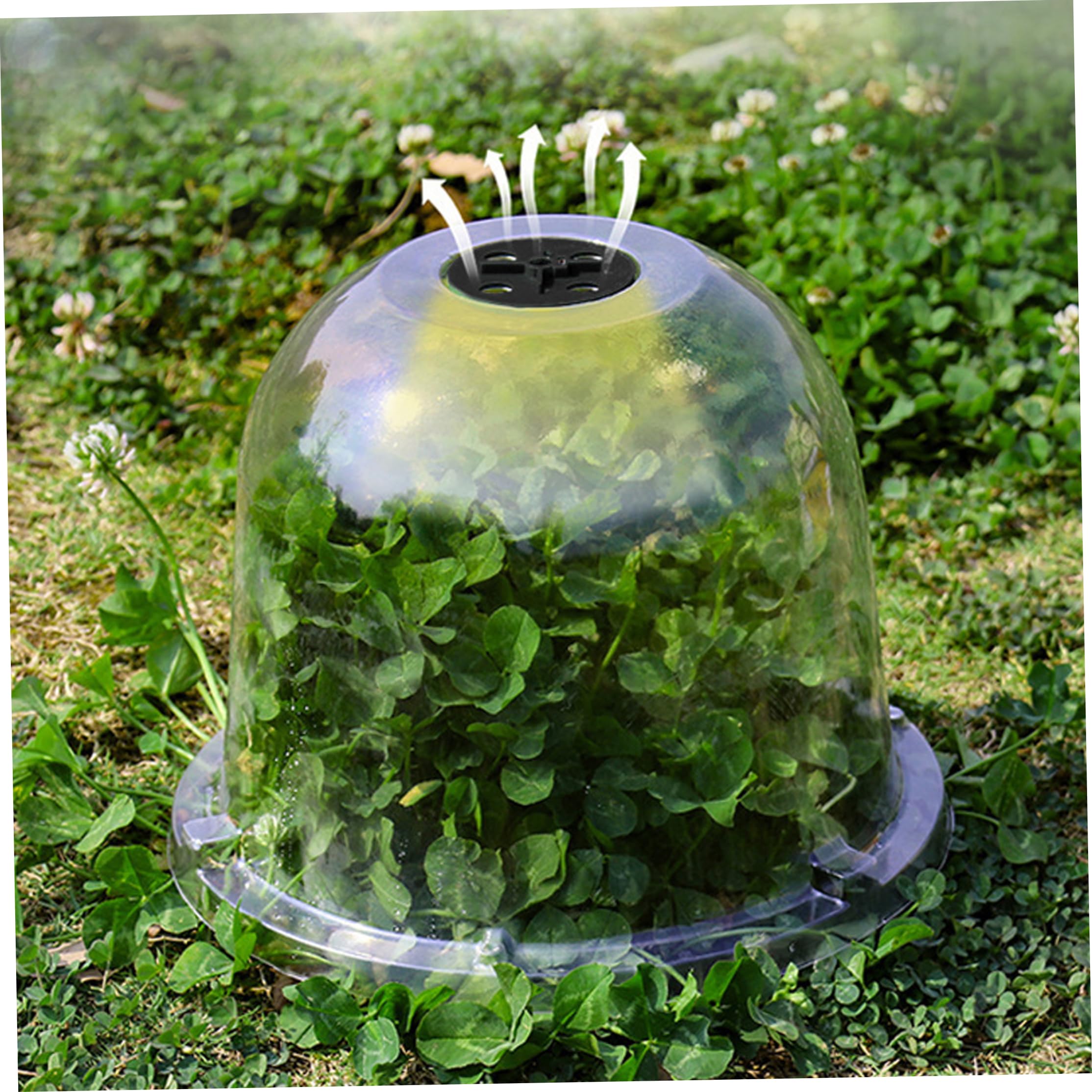Lot de 12 cloches de potager réutilisables en PVC avec aération réglable Transparent