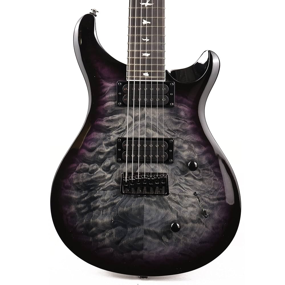 ※限定値下げ※Paul Reed Smith Mark Holcomb SVN PRS SE Mark Holcomb SVN, Holcomb Burst : Amazon.pl