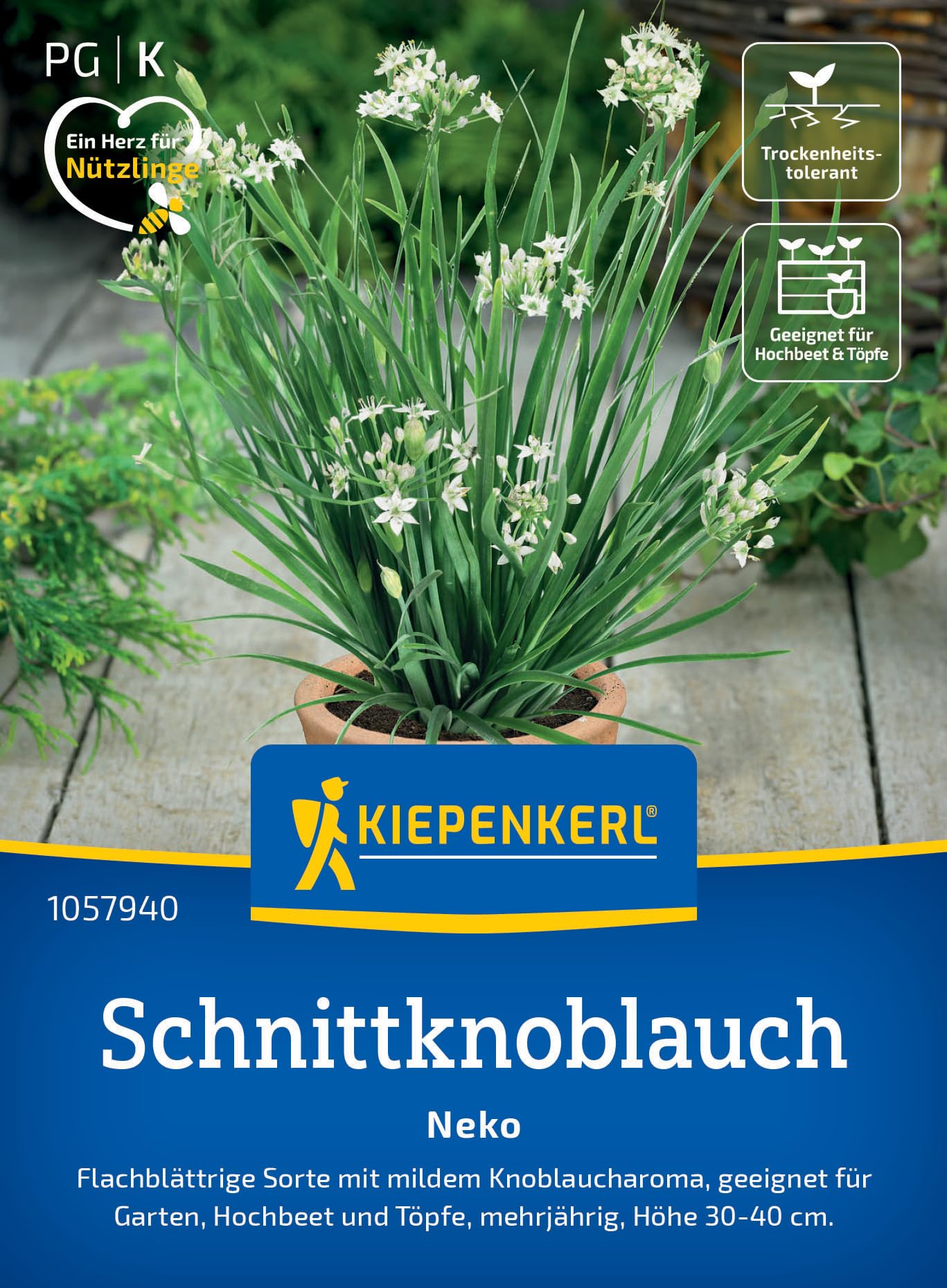 Kiepenkerl Schnittknoblauchsamen Neko 1057940 – Mildes Knoblaucharoma, ideal für Beete & Töpfe – Kräutersamen, Schnittlauchpflanze, Samen Kräuter