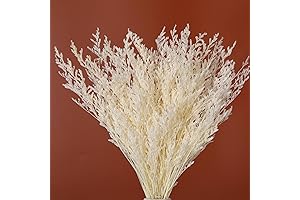 Dried White Flowers Bouquet: Elevate Home Decor with Enduring Beauty