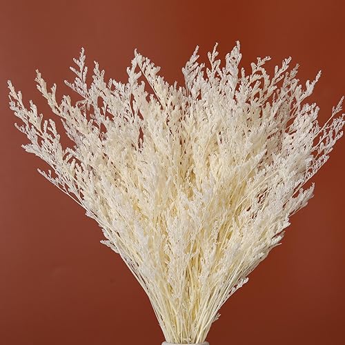 Ramo de flores secas, paquete de flores de caspia seca, lavanda floral, arreglos florales de aliento de bebé para decoración de boda, corona de