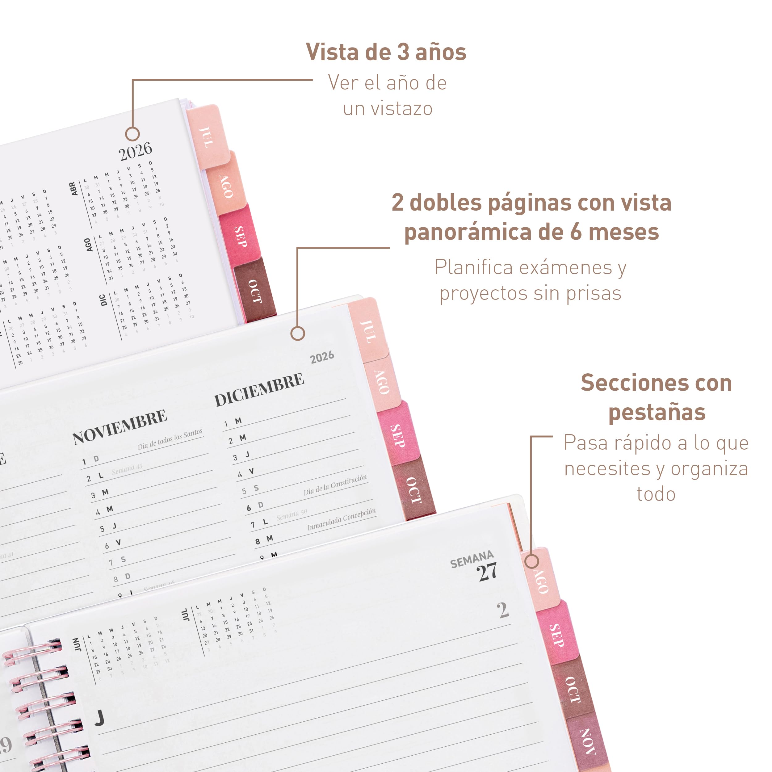Rileys Agenda Escolar 2026–2027, Agenda Anillas 2026 con Planificador Diario Académica, Planner Universitaria para uso Escolares, Dietario tipo para Citas (20 × 15 cm, Rosa, Tipográfico, en español)