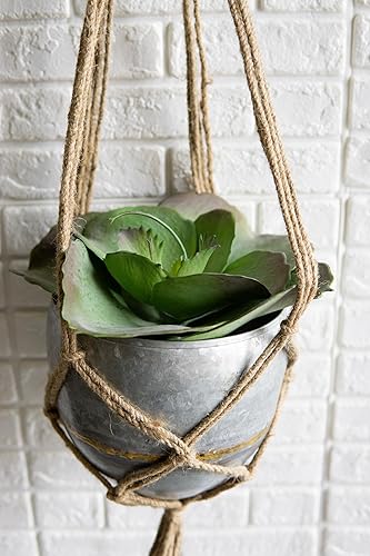 Miniatura 5 de Ebros Gift Paquete de 6 plantas artificiales realistas de lilacina del desierto, plantas suculentas, botánica verde, 8.5 pulgadas de diámetro,