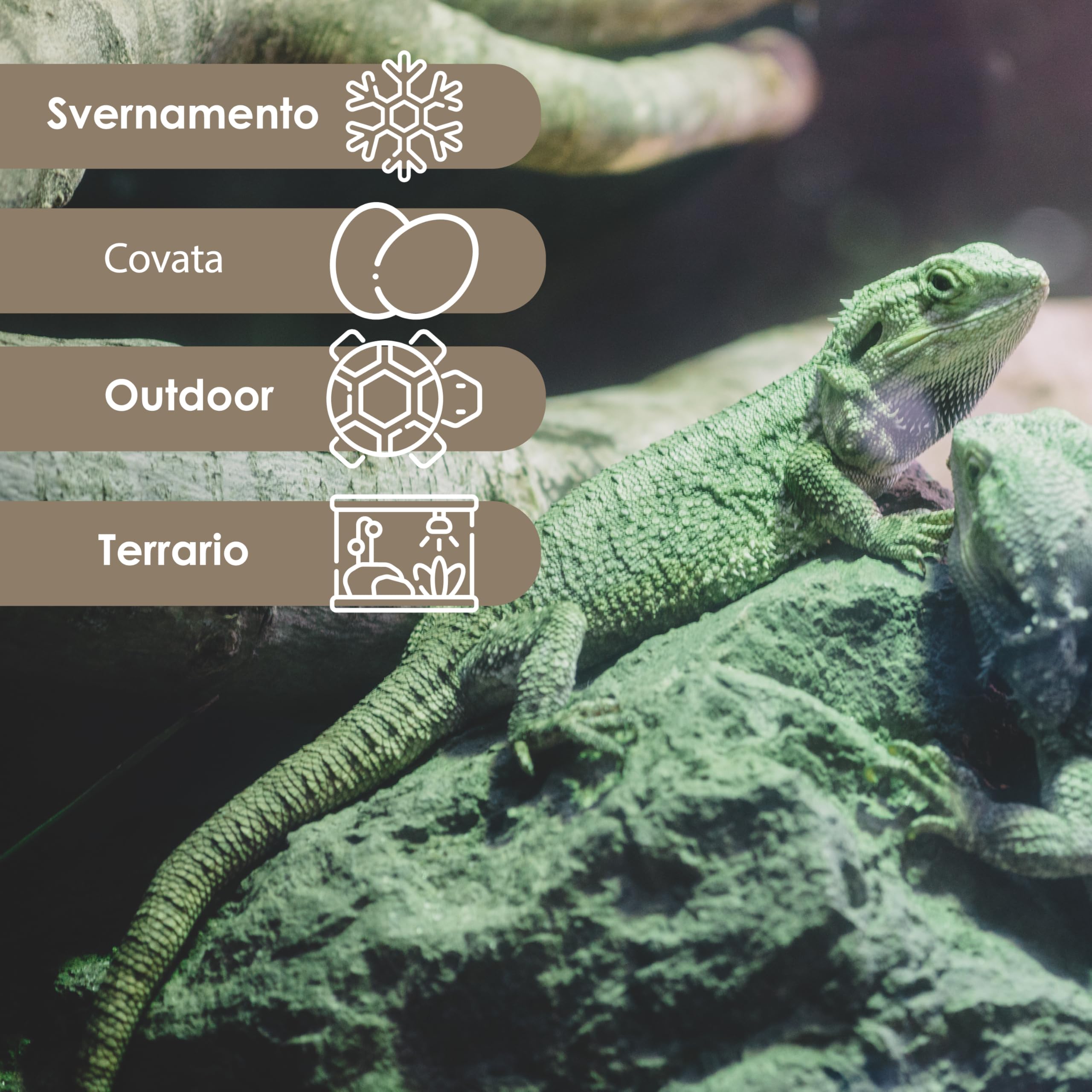 AGRI-CULTURA® | Substrato in Corteccia di Pino Bark per Rettili【20 L】 | Corteccia di Pino Francese 100% Naturale | Ideale per Terrari di Tartarughe di Terra, Serpenti, Rane, Insetti e Rettili.