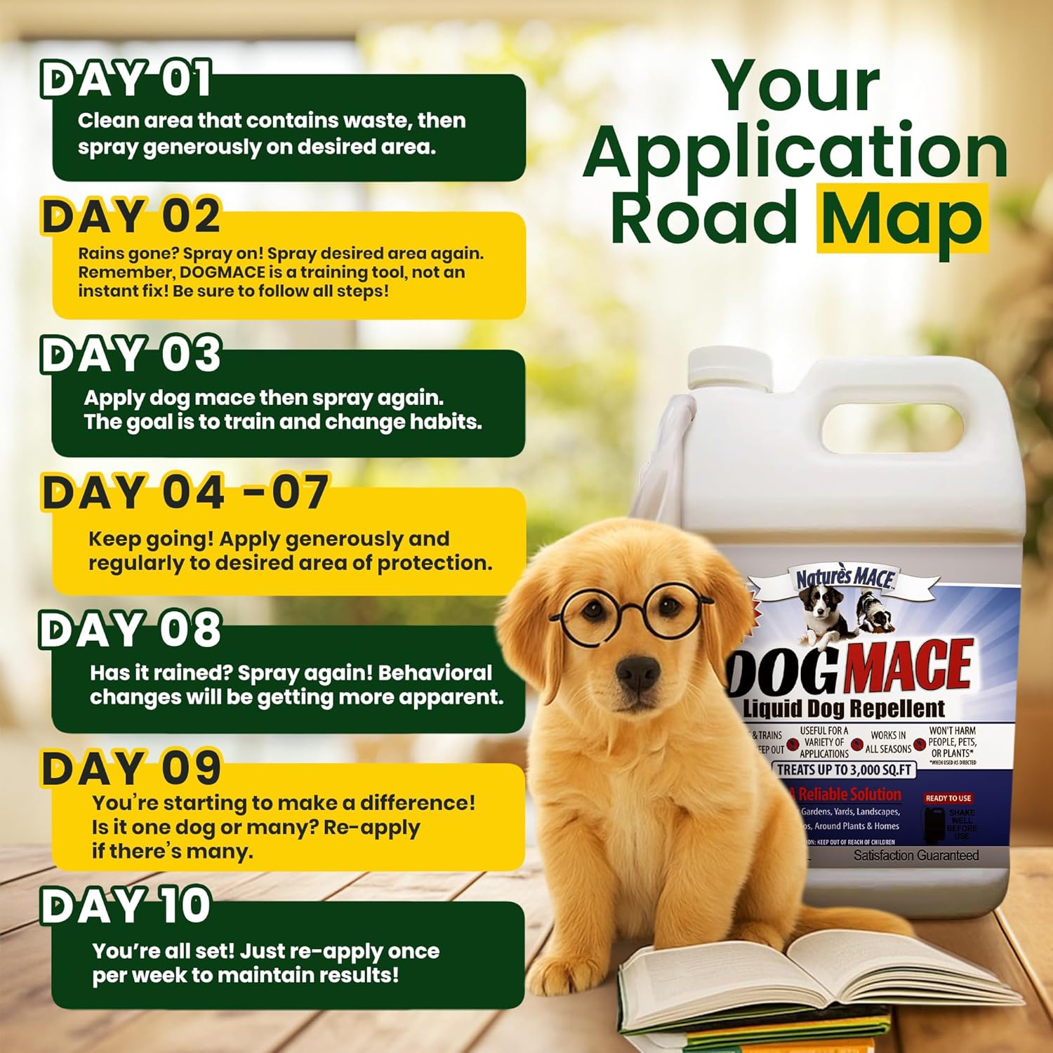 Nature’s MACE Dog Mace Repellent Spray, Keep Dogs Out of Your Lawn and Garden, Training Corrector, Stop Chewing and Digging, Safe Around Kids, Pets, & Plants, 1 Gallon Ready to Use, Treats 3,000 Sq Ft