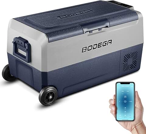 Amazon.fr : frigo camping car