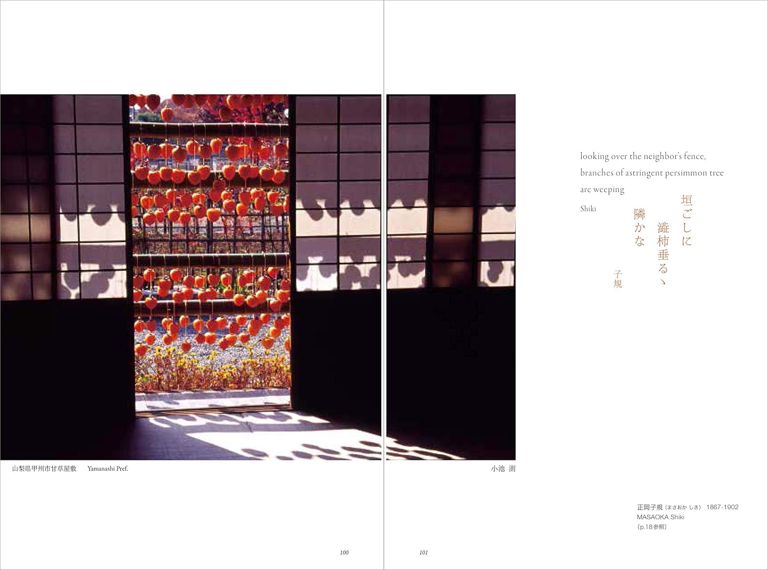 Photographs of Imagined Haiku Landscapes (Japanese Edition)      Tankobon Hardcover – November 11, 2019