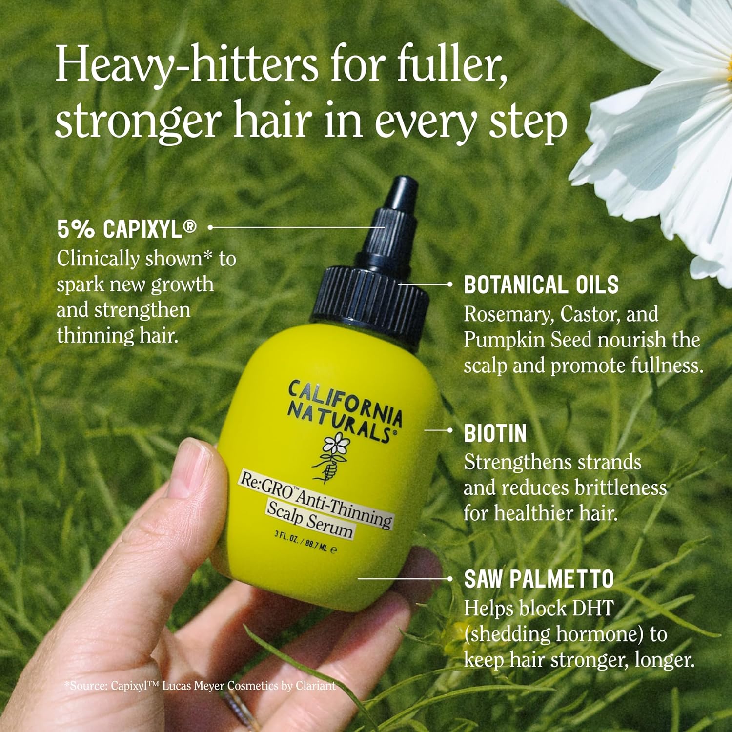 California Naturals Women's Re: Gro Anti-Thinning Scalp Serum, 5% Capixyl with Biotin, Caffeine & Castor and Rosemary Oil, Non-Sticky Cooling Formula, Vegan & Cruelty Free, 3oz - Image 5