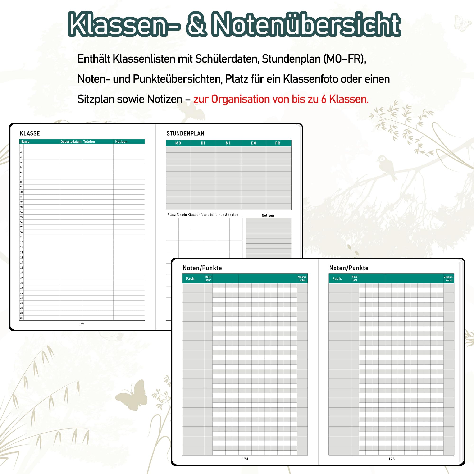 ZXHQ Lehrerkalender 2026–2027 A5+, Lehrerplaner/Wochenplaner für Lehrer und Schule, Hardcover, 208 Seiten, Farbig Gestaltete Innenseiten & Monatsregister, Mit Innentasche, 16,5 x 22 cm, Salbeigrau