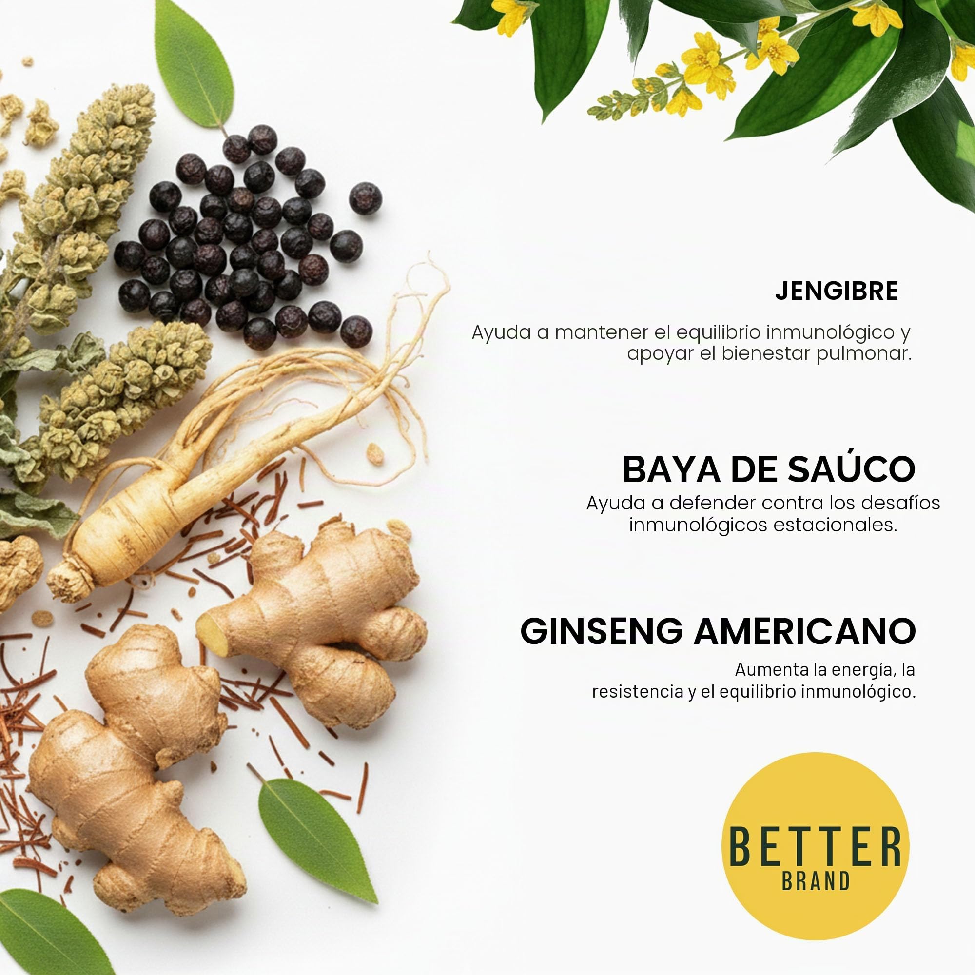 Betterbrand Bolsas de té de gordolobo para desintoxicación pulmonar, apoyo respiratorio con tomillo, saúco, ginseng, jengibre, mezcla de hierbas sin cafeína, 15 bolsas de té (paquete de 1)