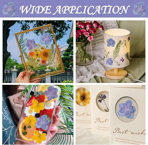 Miniatura 3 de HEISENLIN Flores secas prensadas azules y moradas, hortensias dobles para adornos de manualidades de resina, 60 flores naturales prensadas para