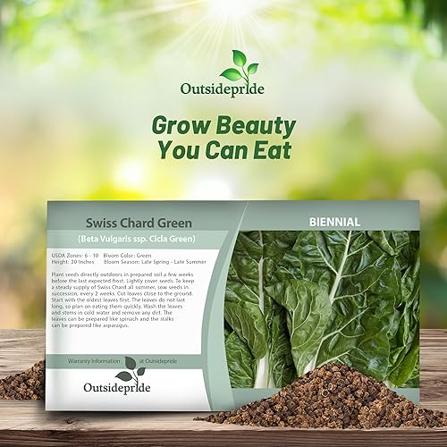 Miniatura 4 de Outsidepride Semillas de acelgas verdes para plantar verduras y microverdes, 1000 piezas de semillas vegetales bienales vibrantes, sabrosas y