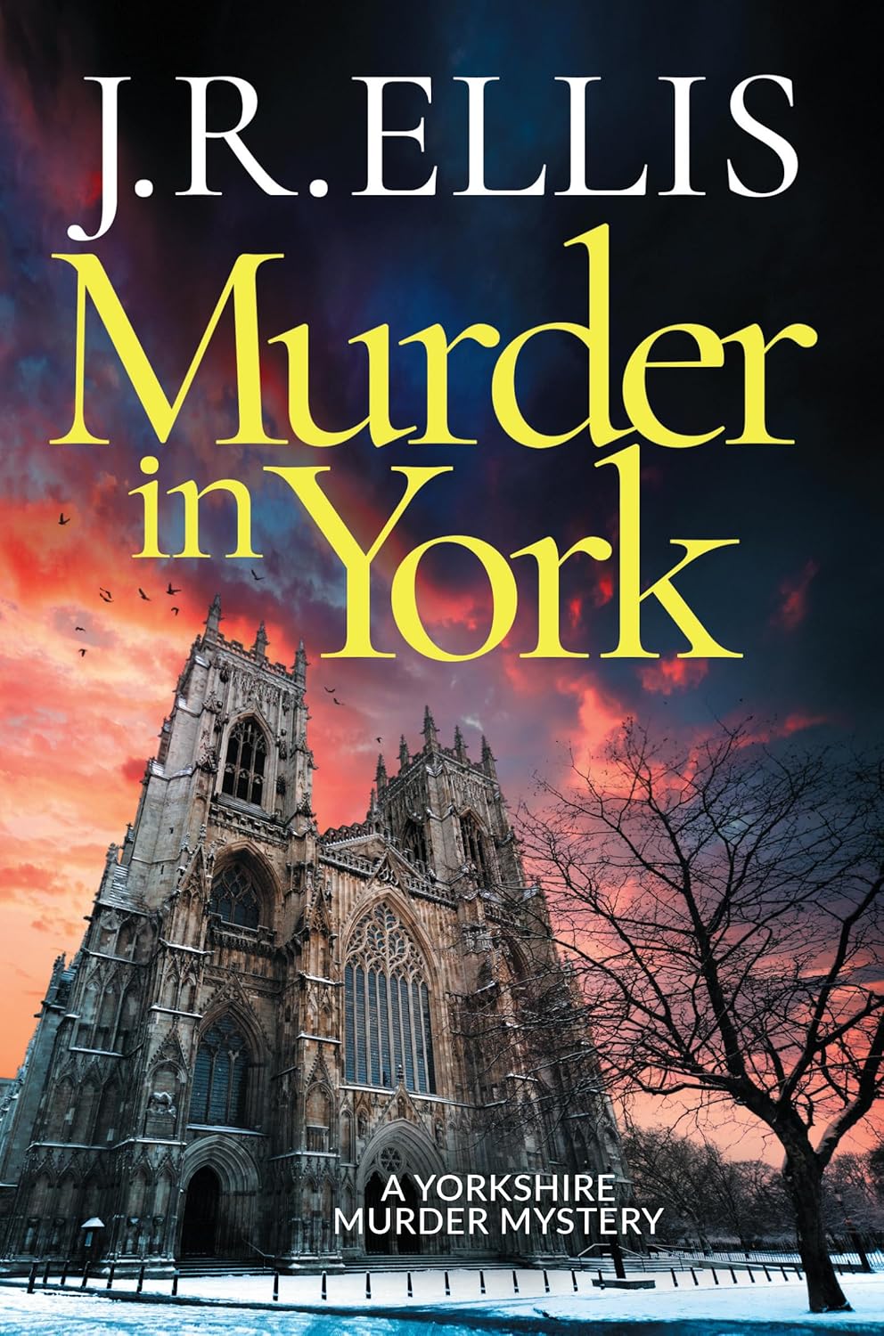 Meurtre à York (Un mystère de meurtre dans le Yorkshire, tome 12) Meurtre à York (Un mystère de meurtre dans le Yorkshire, tome 12)