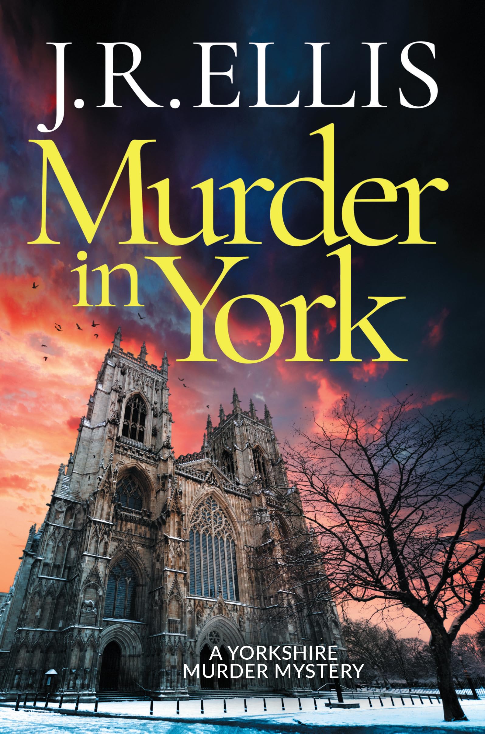Murder in York (A Yorkshire Murder Mystery Book 12)
